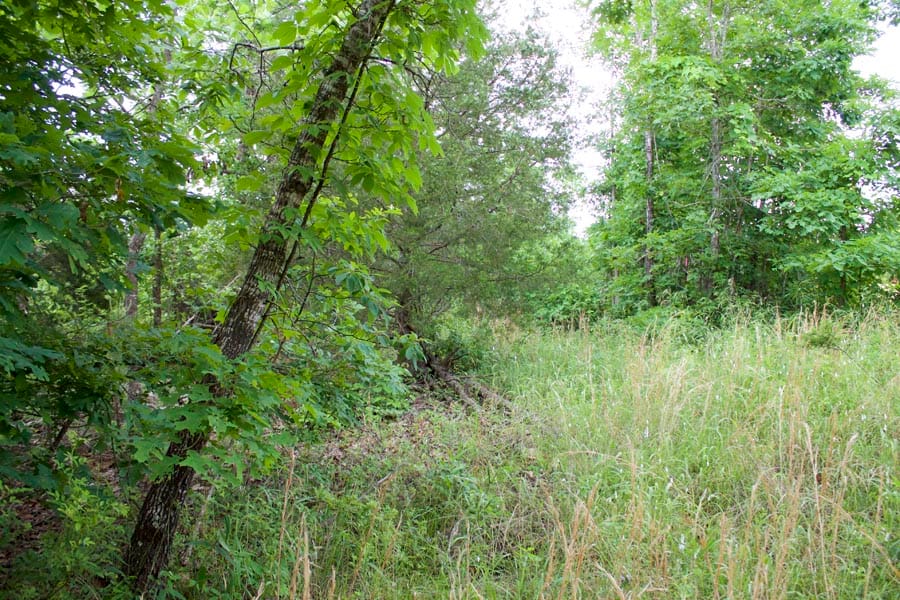 Thunder Mountain Ranch Tract 14 photo 2