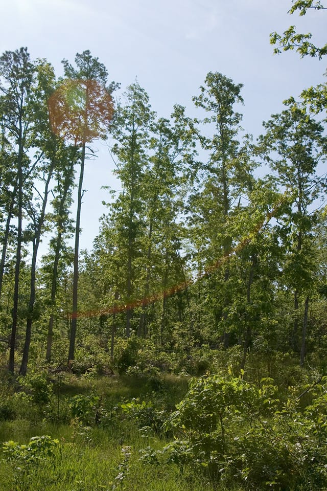 Blue Sky Ranch Tract 3 photo 2