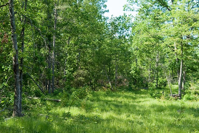 Blue Sky Ranch Tract 3 photo 10