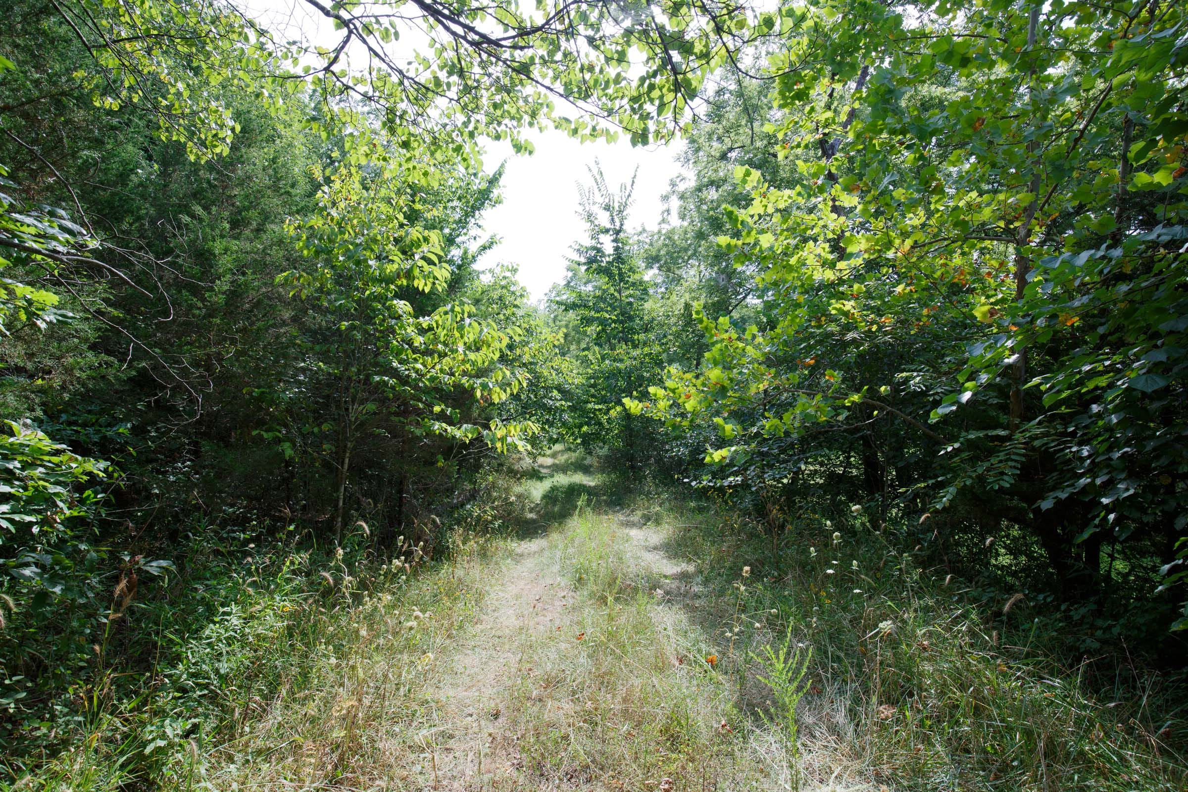 Spring Lake Plat 6 Tract 153 photo 1