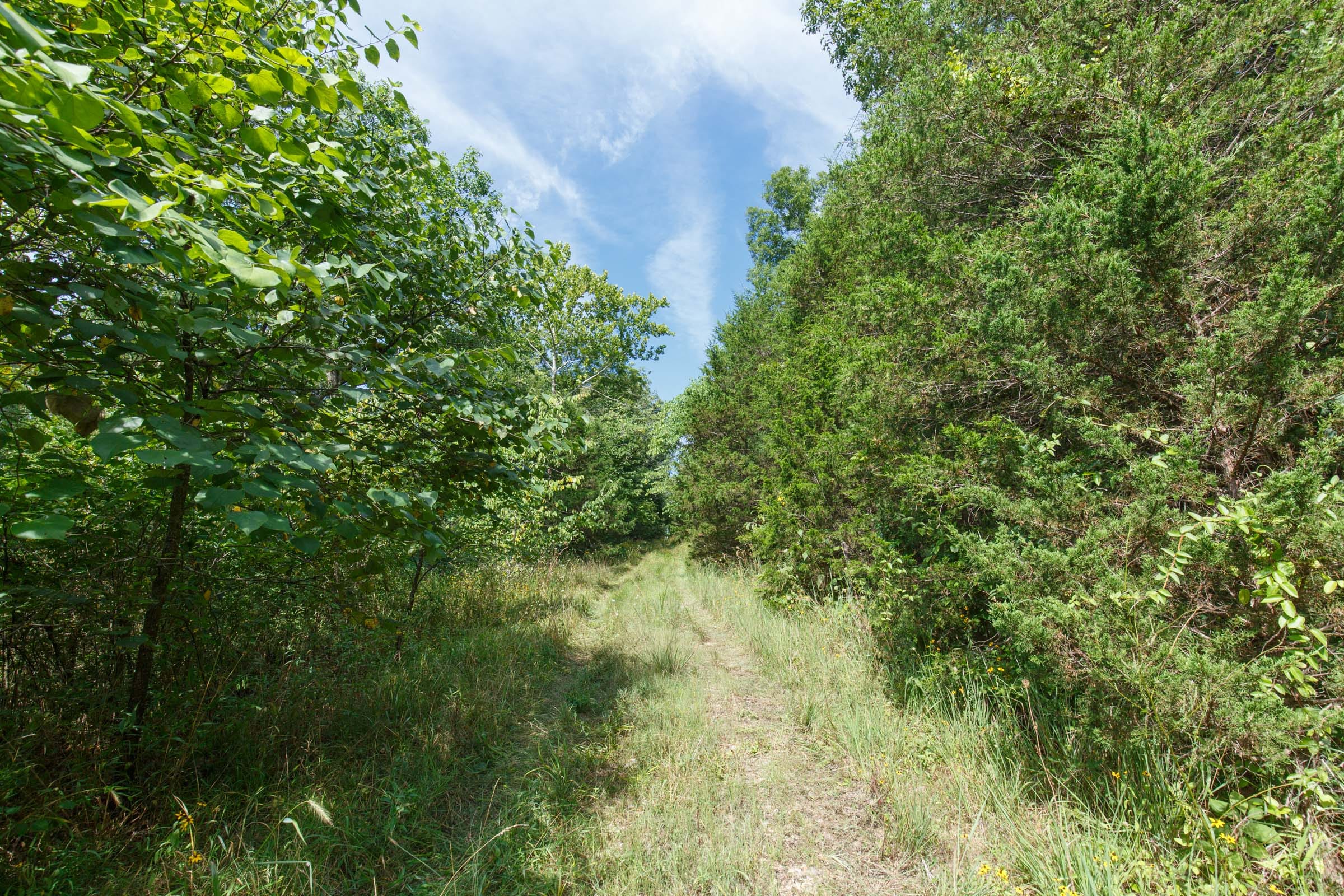 Spring Lake Plat 6 Tract 153 photo 3