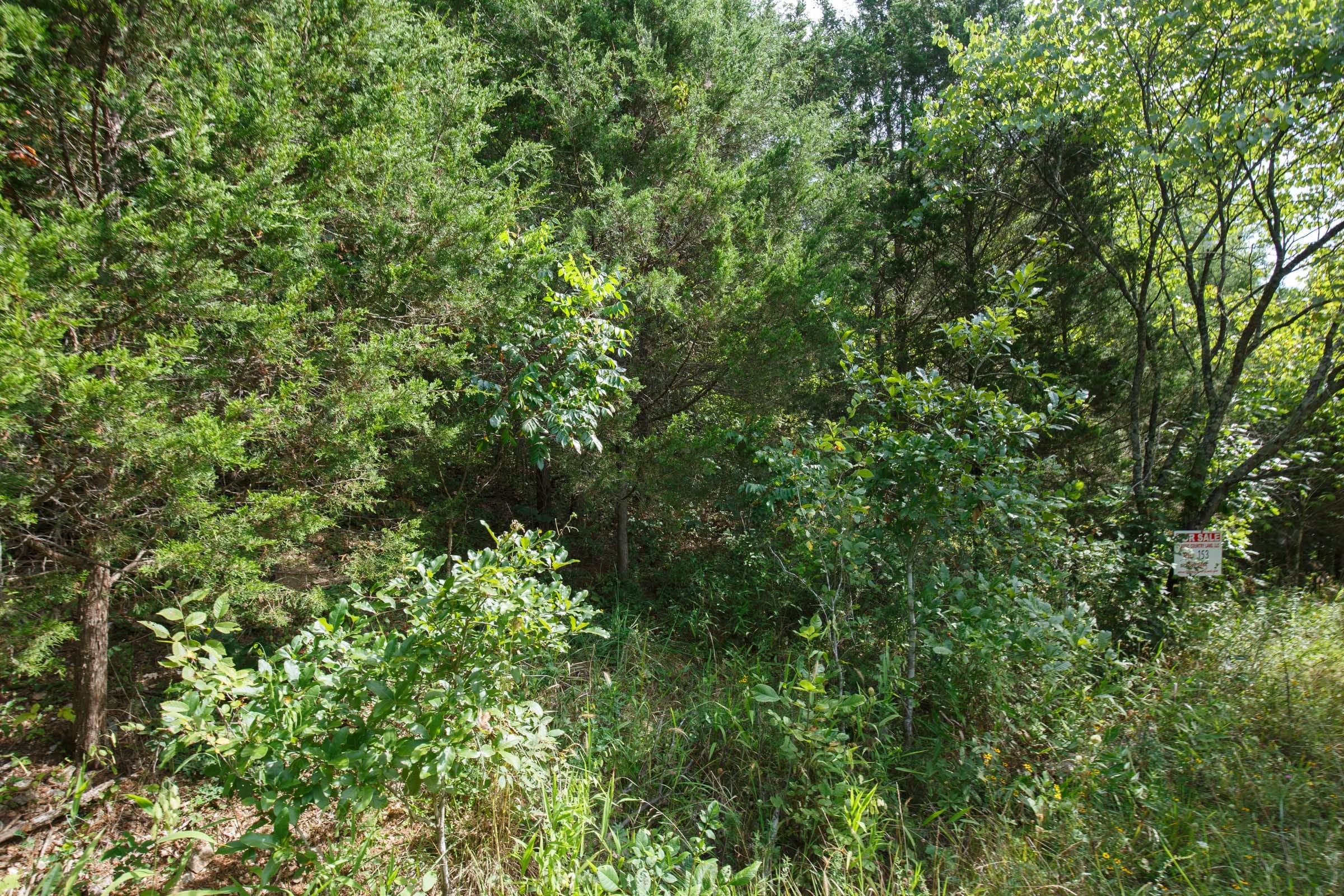 Spring Lake Plat 6 Tract 153 photo 5