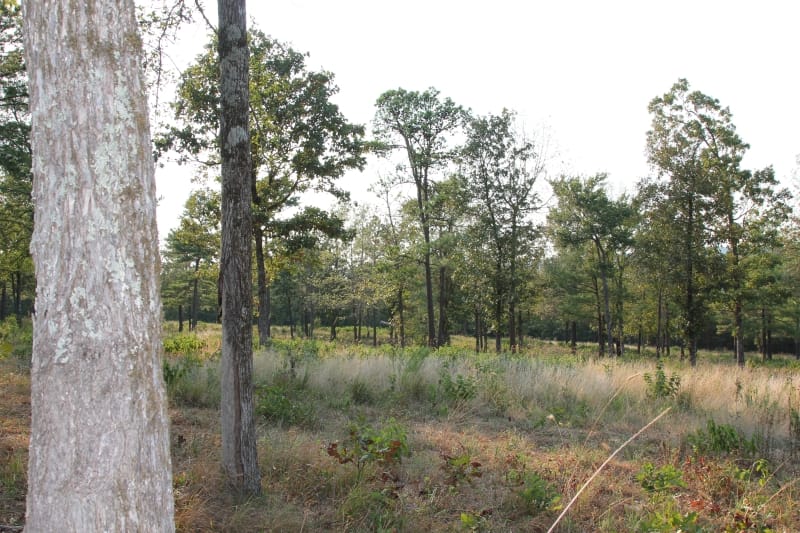 Lake View Ranch Tract 29 photo 1