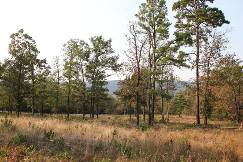 Lake View Ranch Tract 29 photo 2