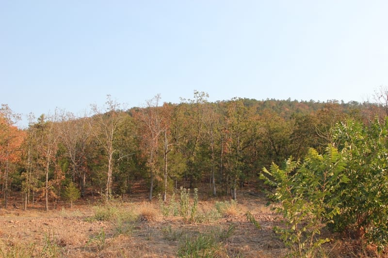 Lake View Ranch Tract 29 photo 3