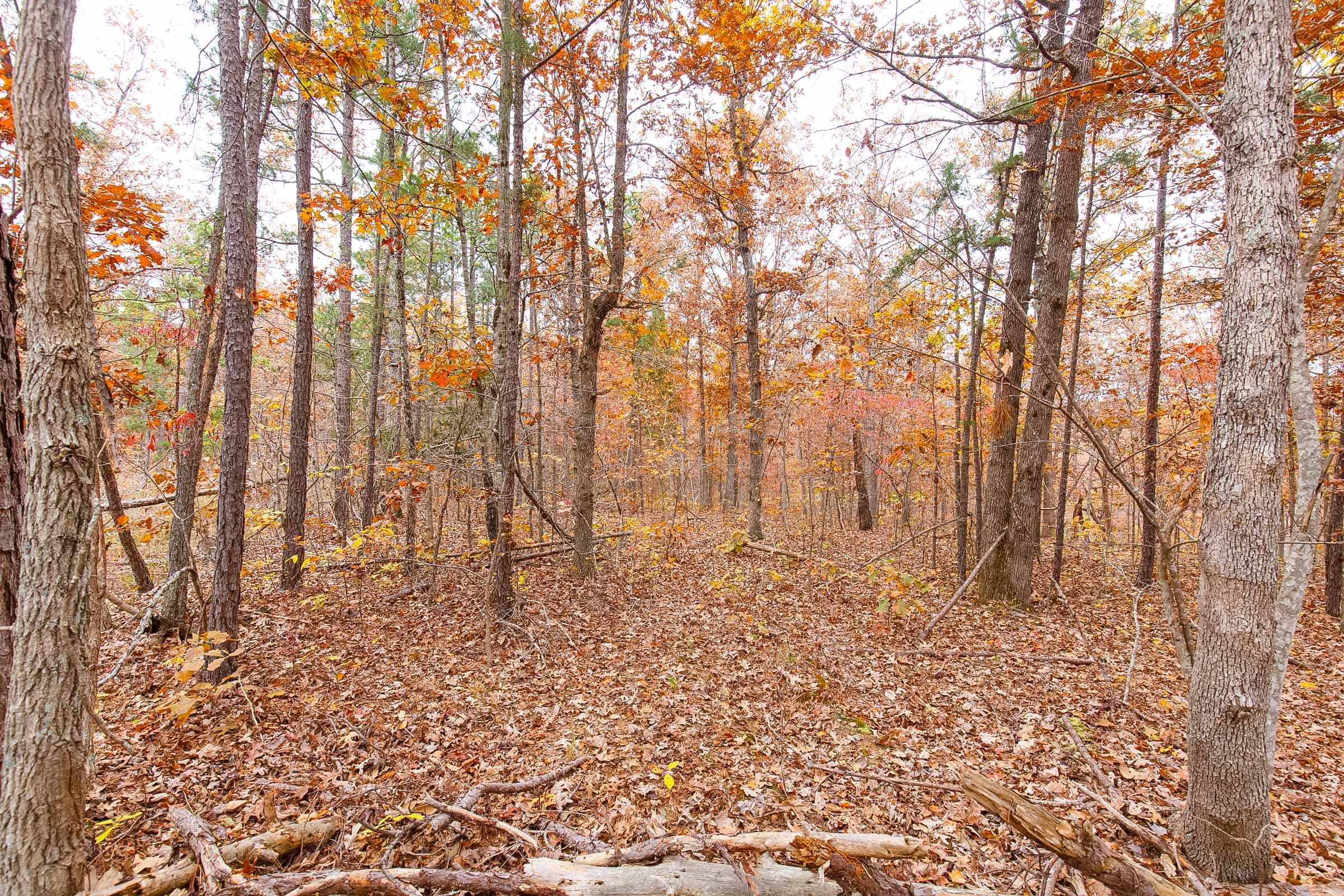 Hawkcrest Tract 6 photo 5