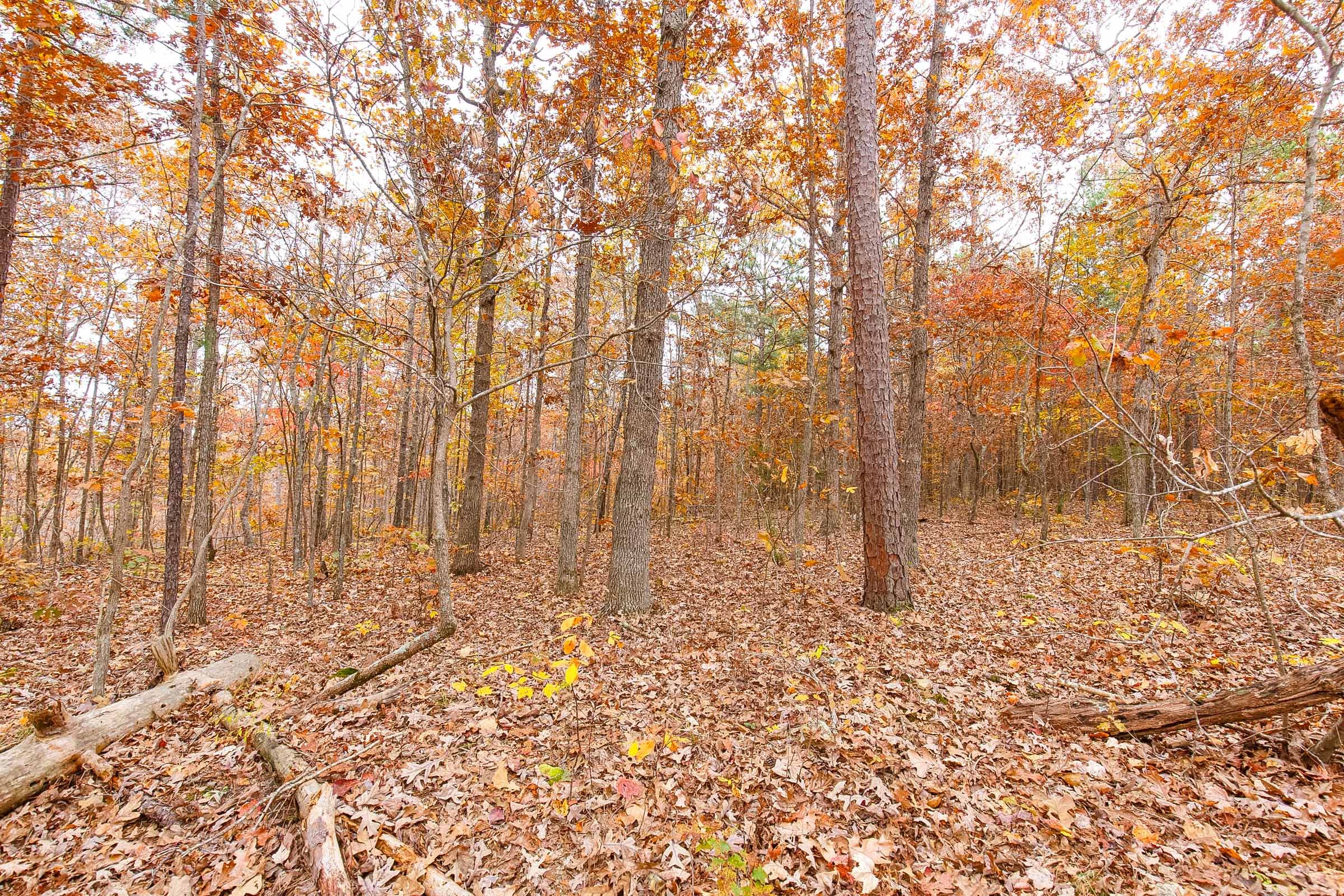 Hawkcrest Tract 6 photo 6