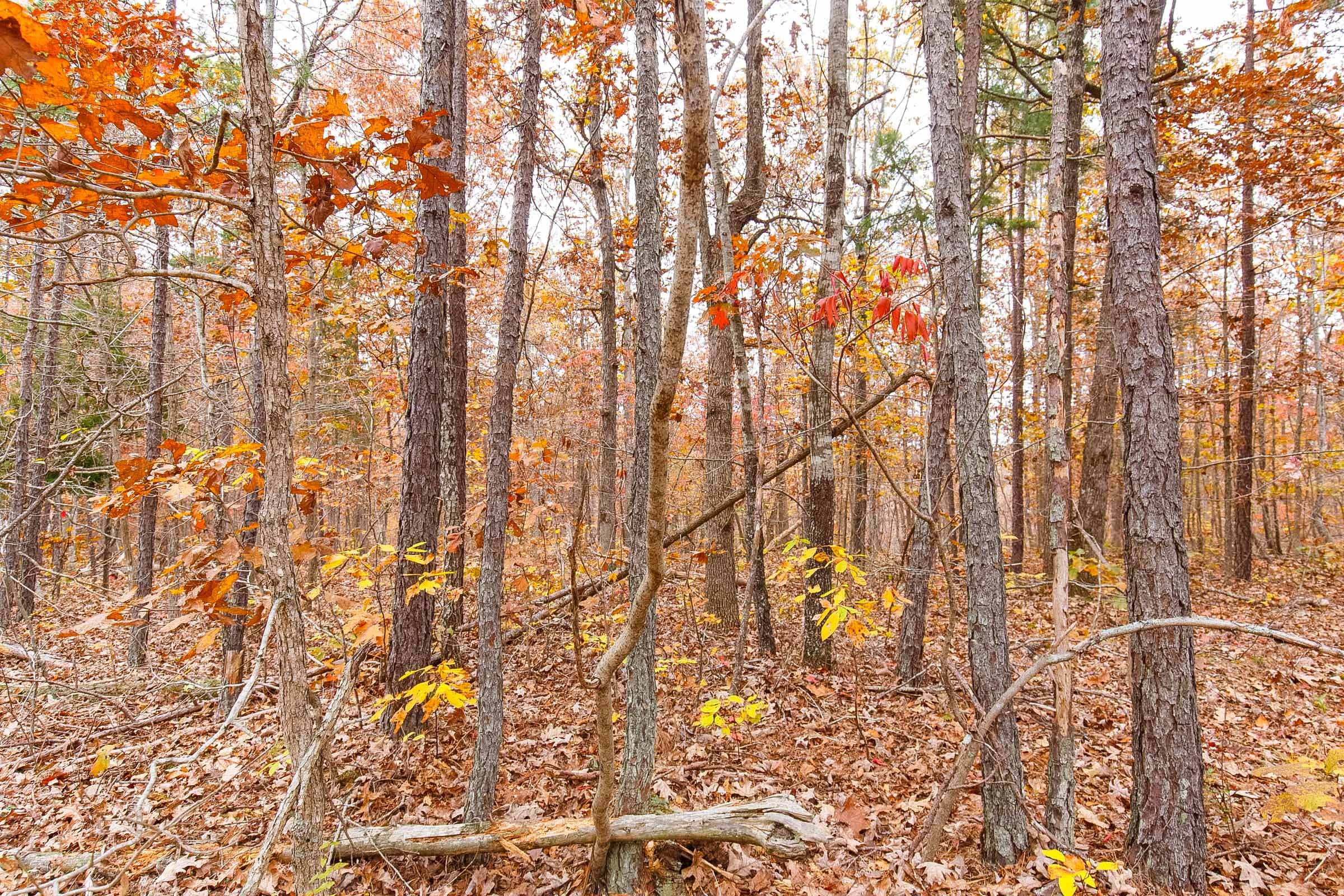 Hawkcrest Tract 6 photo 2