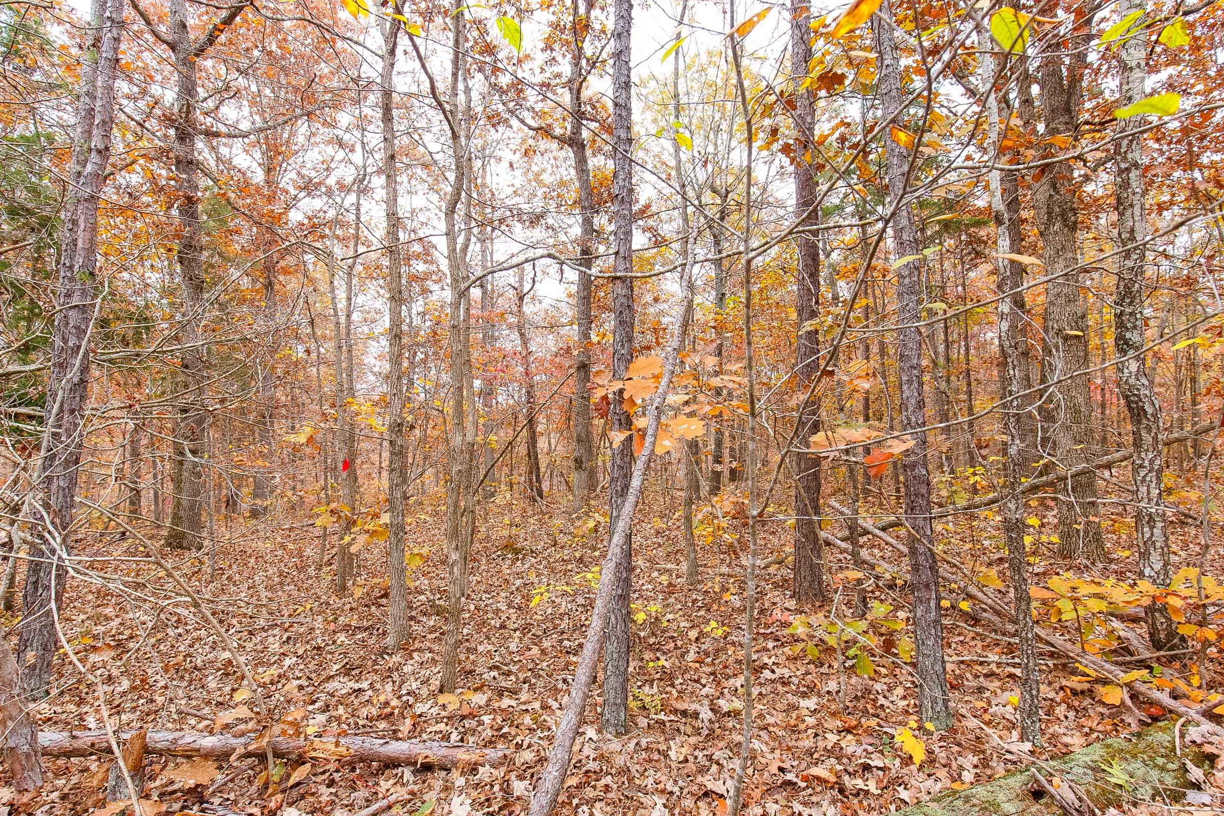 Hawkcrest Tract 6 photo 7