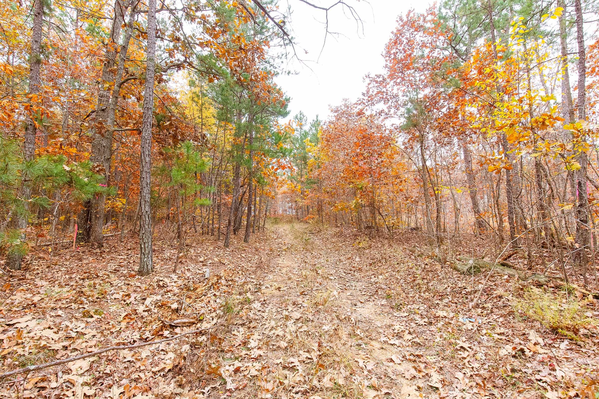 Hawkcrest Tract 6 photo 1