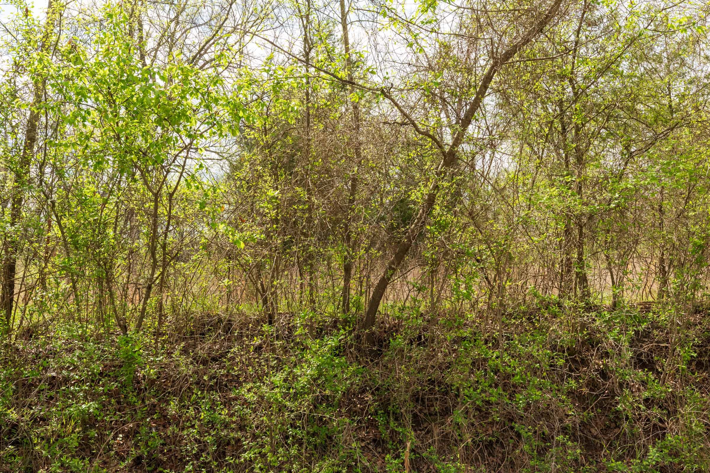 Moonrise Meadows Tract 23 photo 2