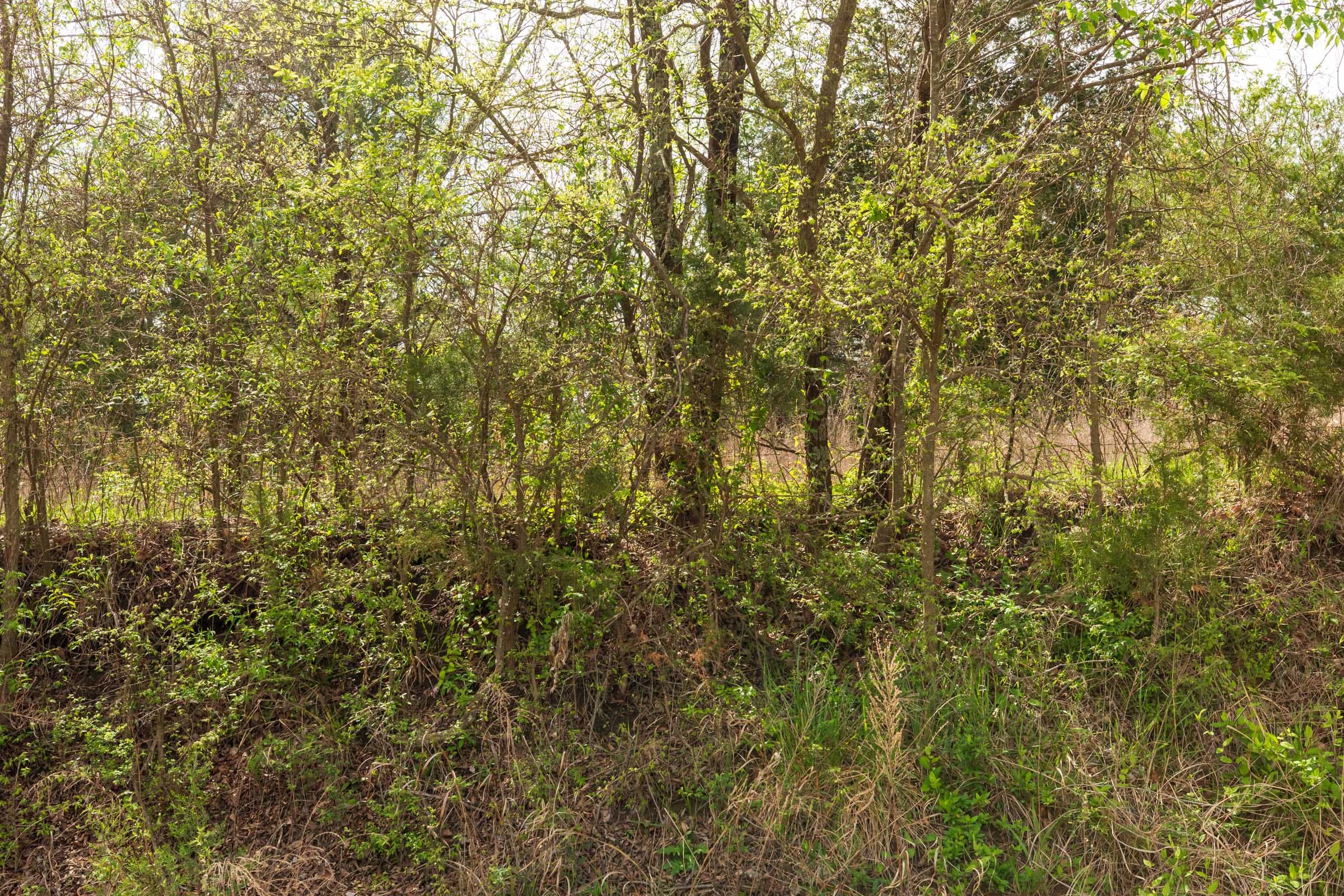 Moonrise Meadows Tract 23 photo 9