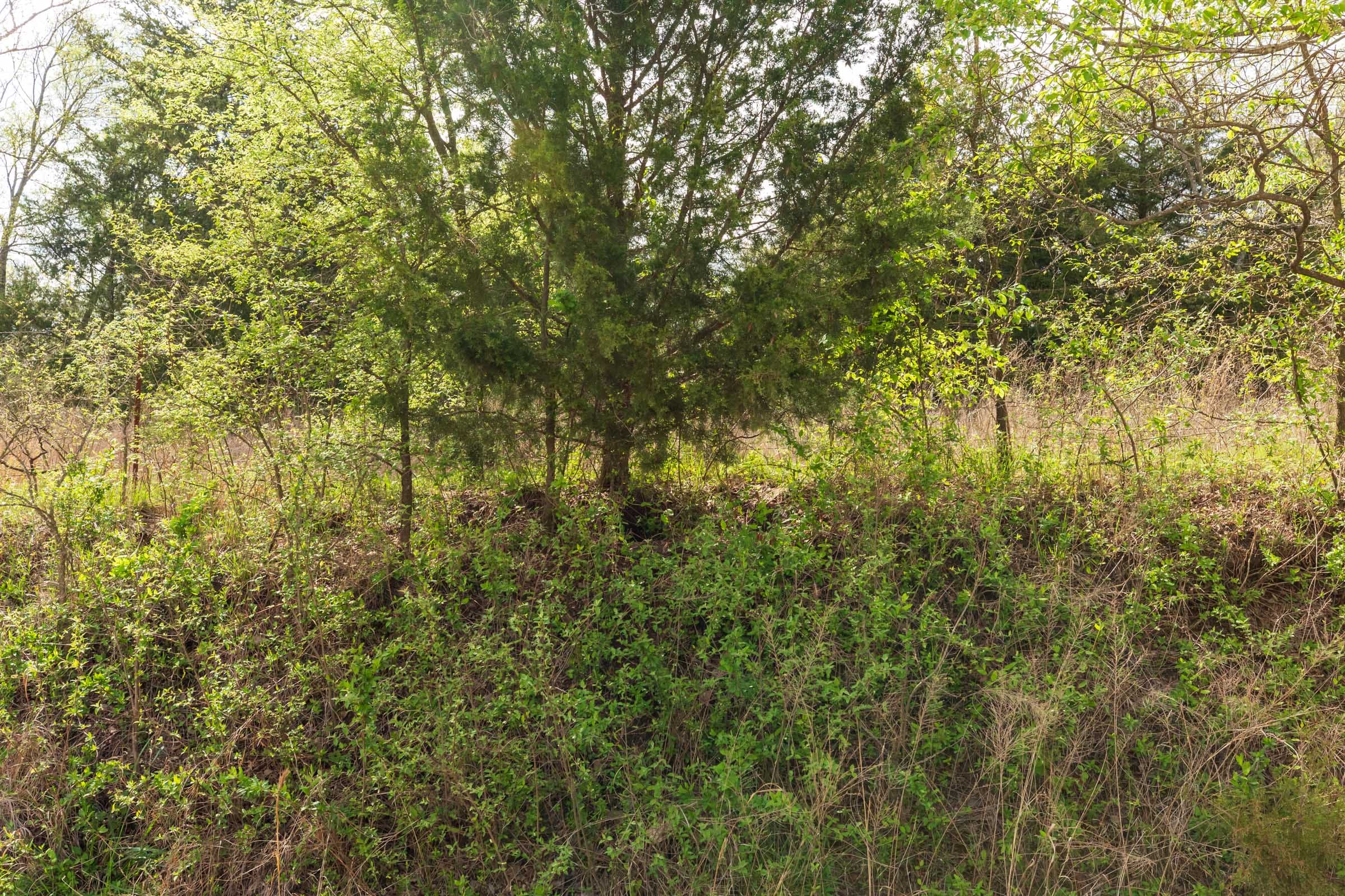 Moonrise Meadows Tract 23 photo 14