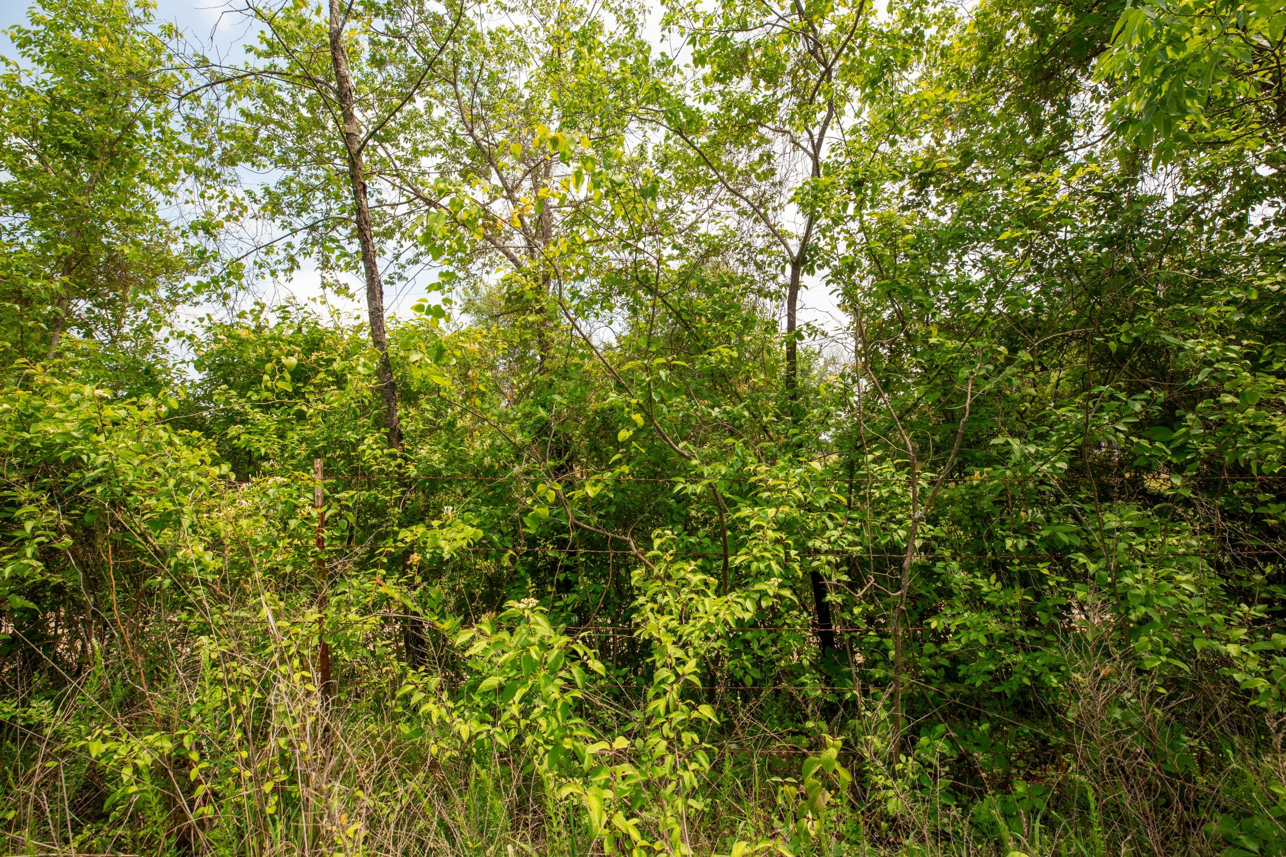 Moonrise Meadows Tract 23 photo 4