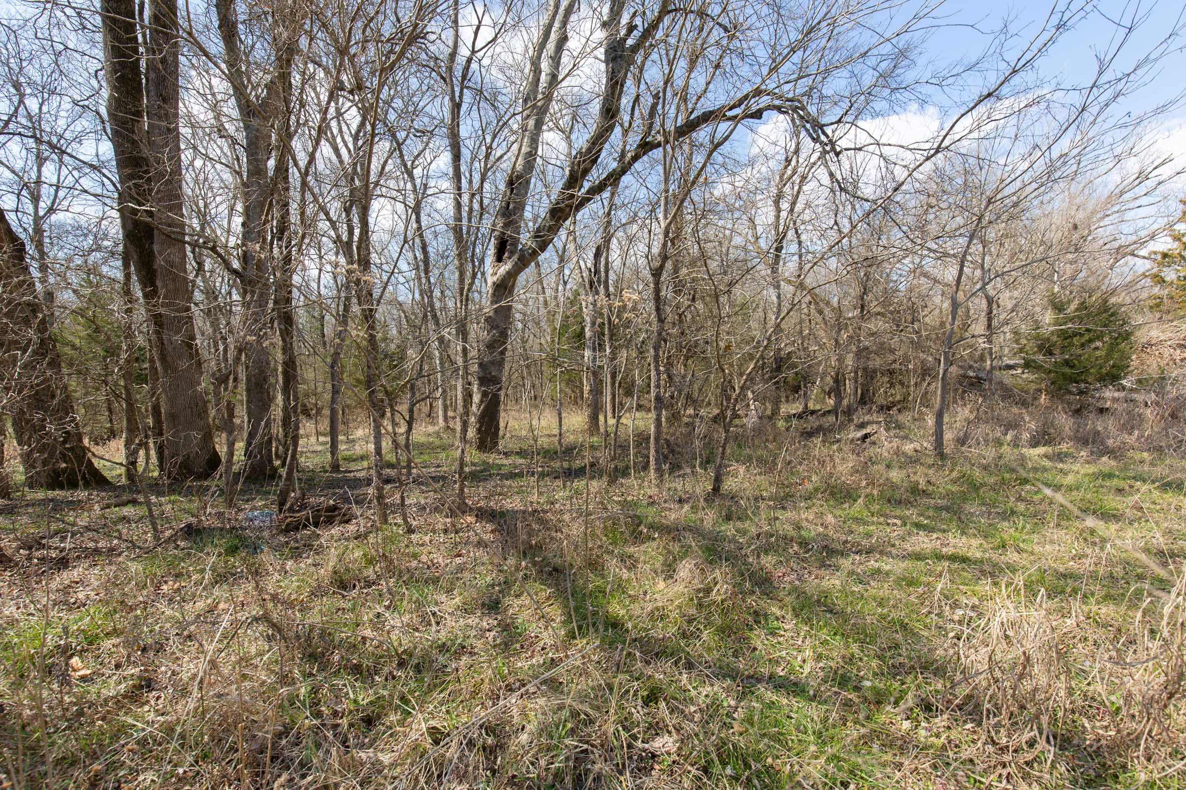Wishing Star Ranch Tract 91 photo 4