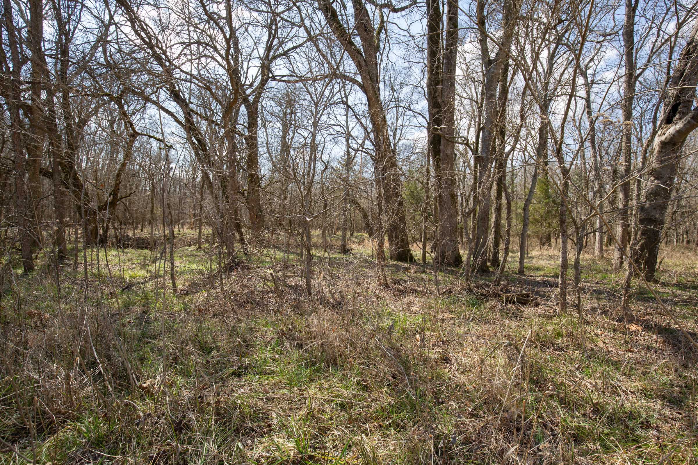 Wishing Star Ranch Tract 91 photo 5