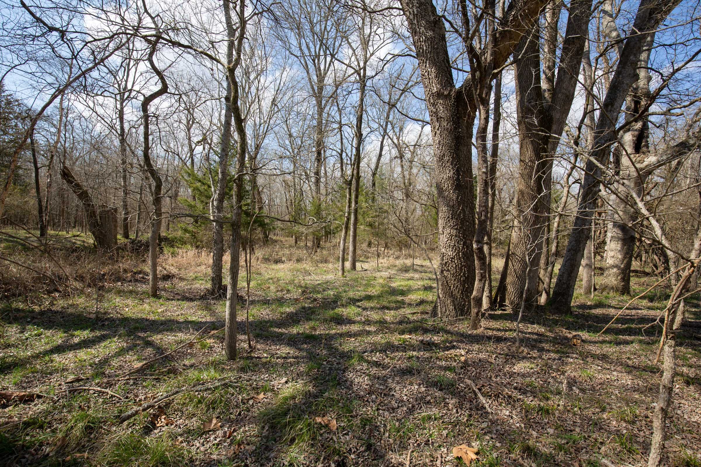 Wishing Star Ranch Tract 91 photo 6