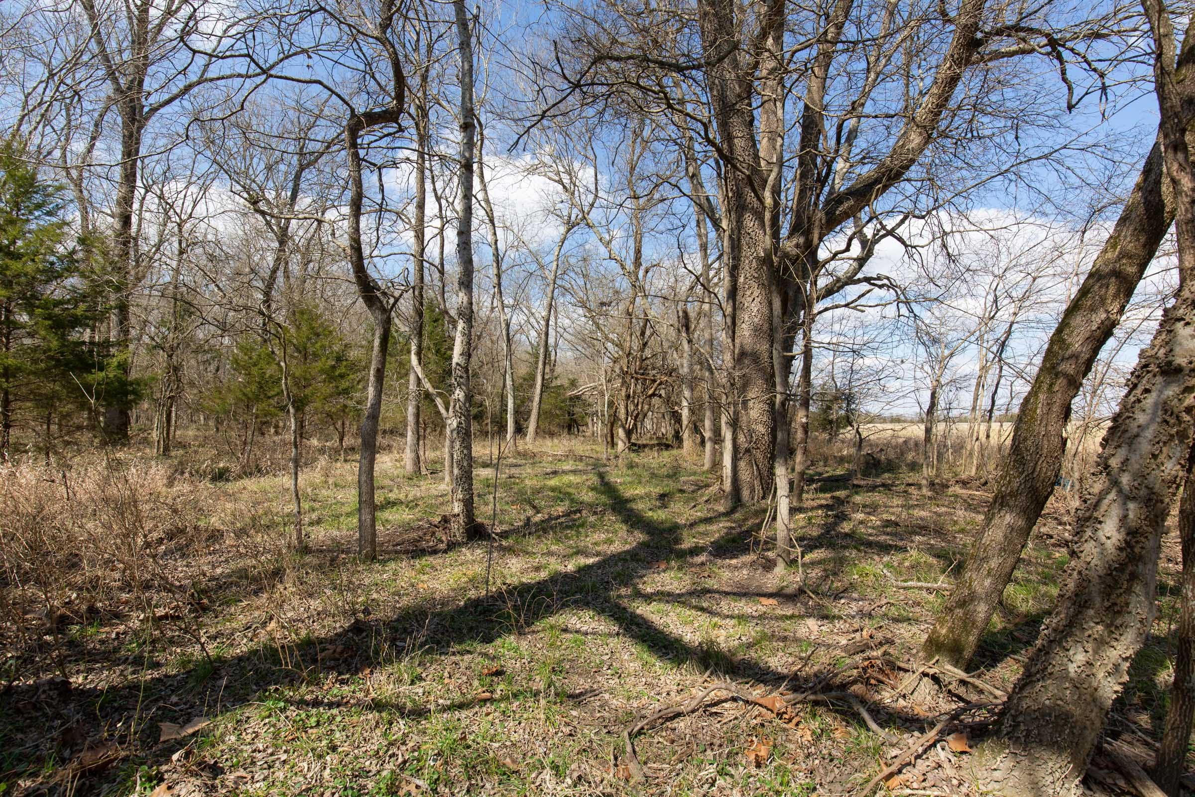 Wishing Star Ranch Tract 91 photo 10