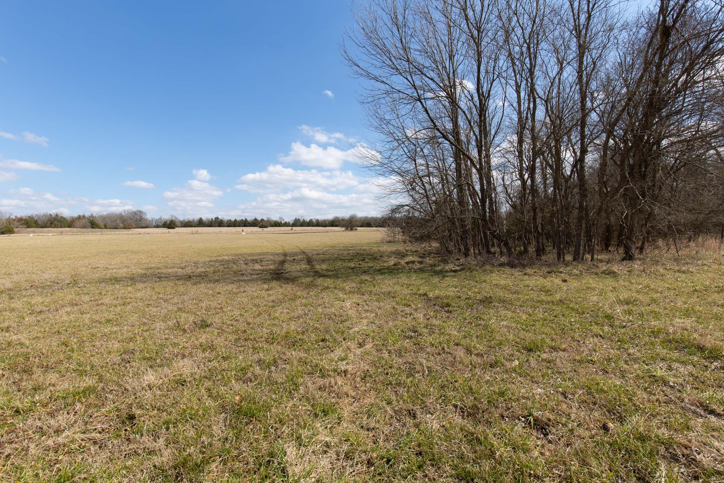 Wishing Star Ranch Tract 91 photo 11