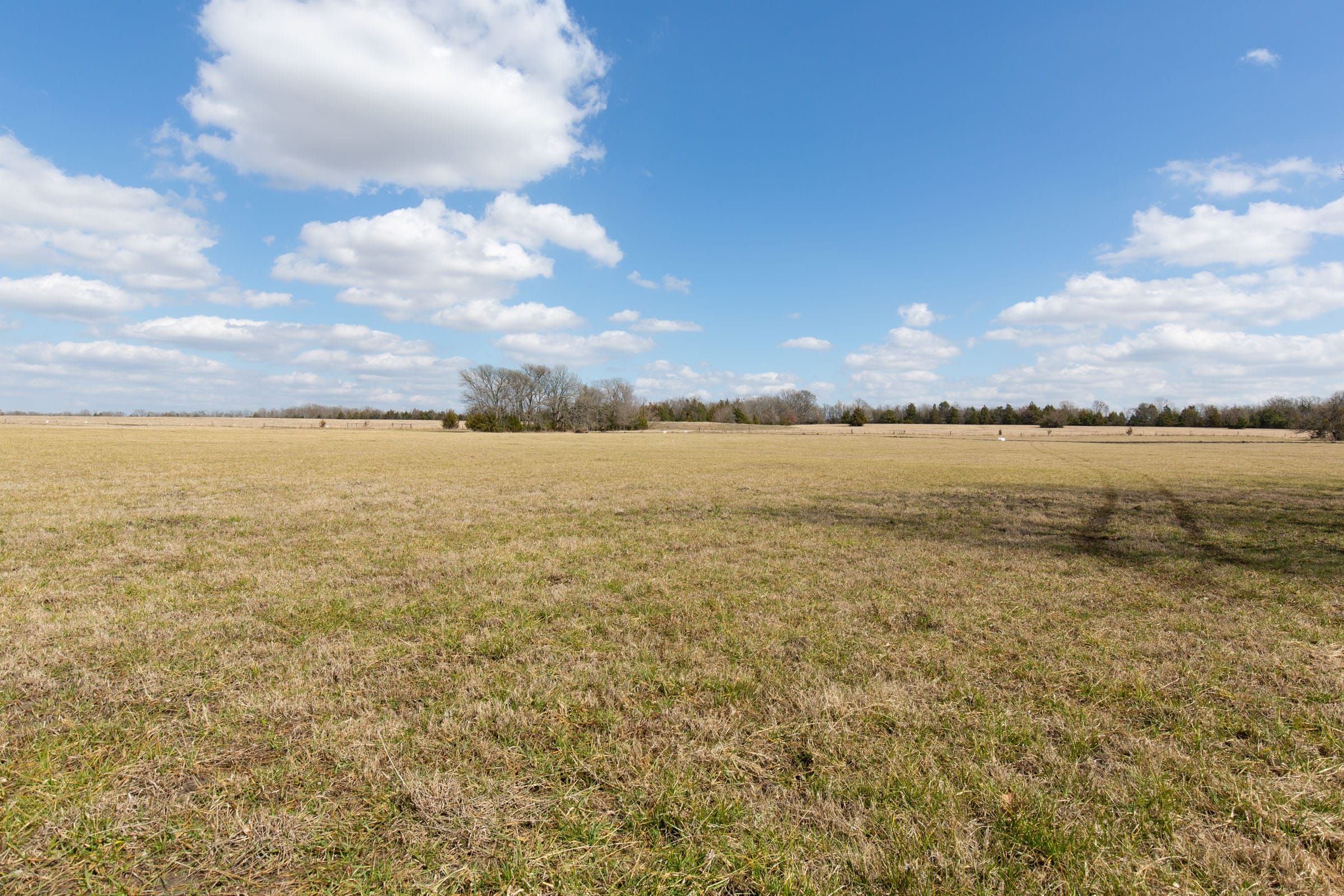 Wishing Star Ranch Tract 91 photo 12