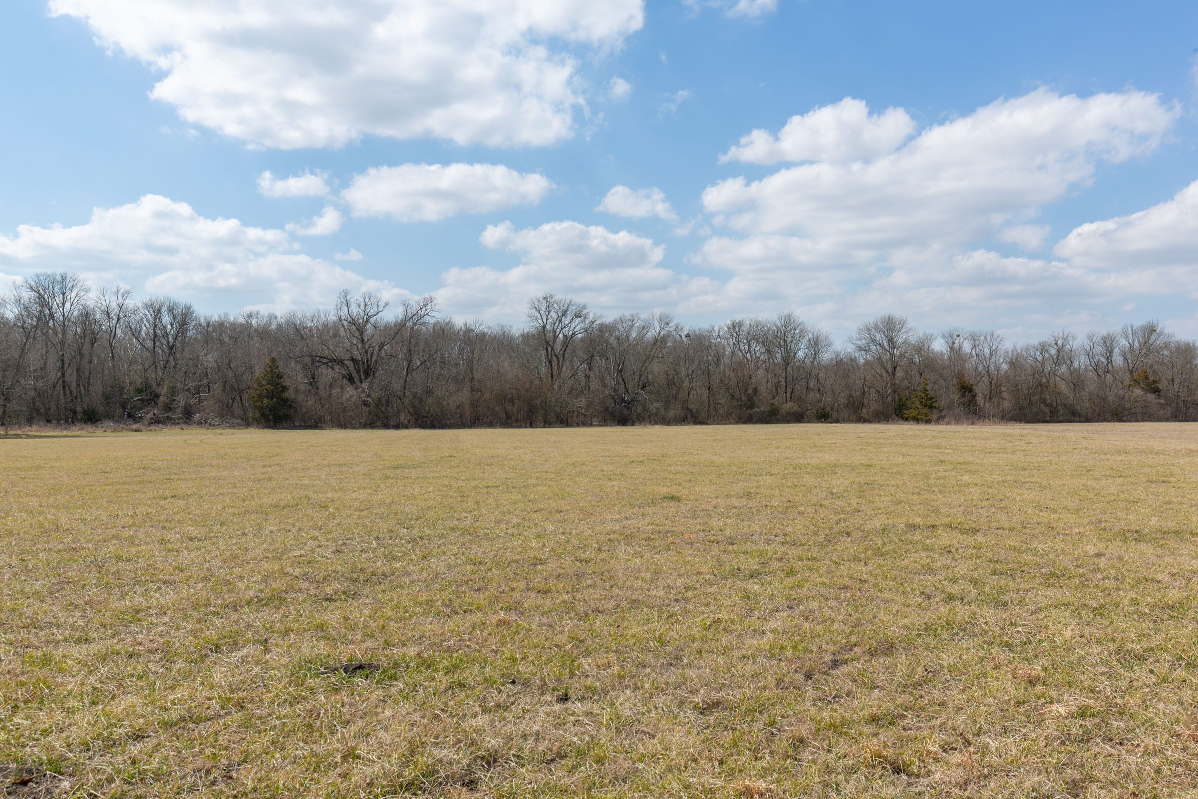 Wishing Star Ranch Tract 91 photo 13