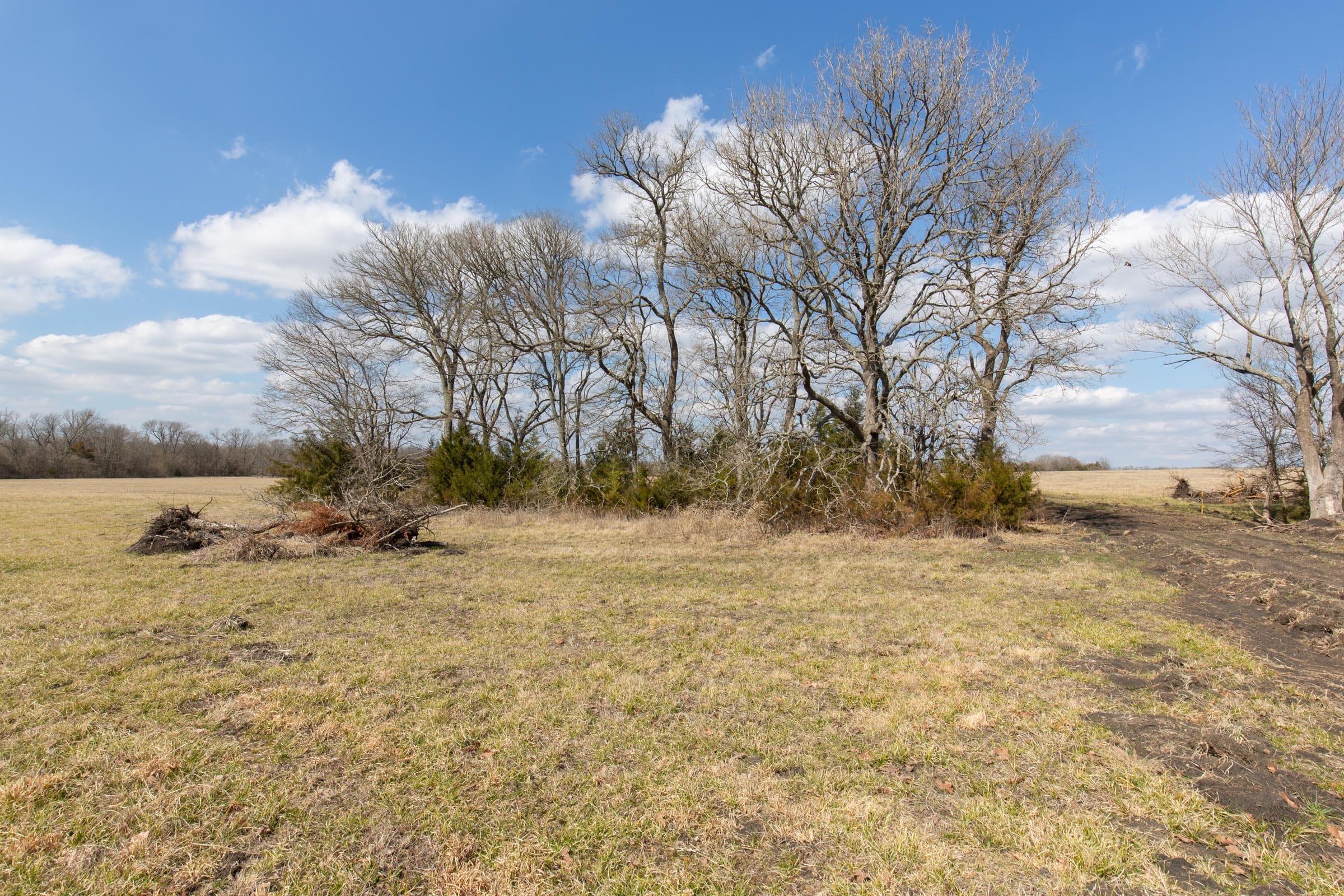 Wishing Star Ranch Tract 91 photo 14