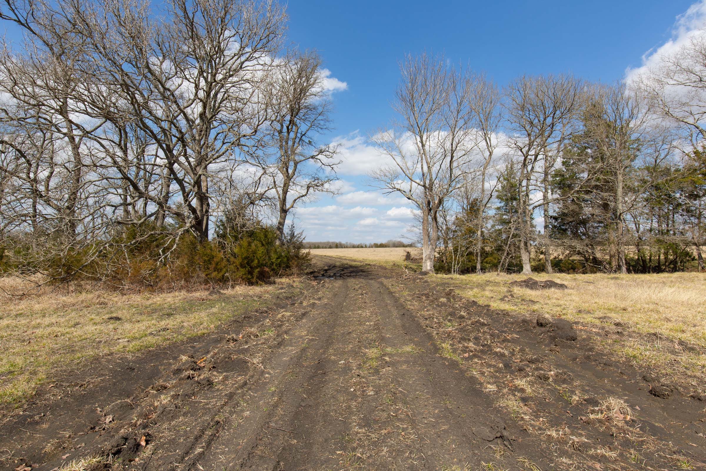 Wishing Star Ranch Tract 91 photo 1