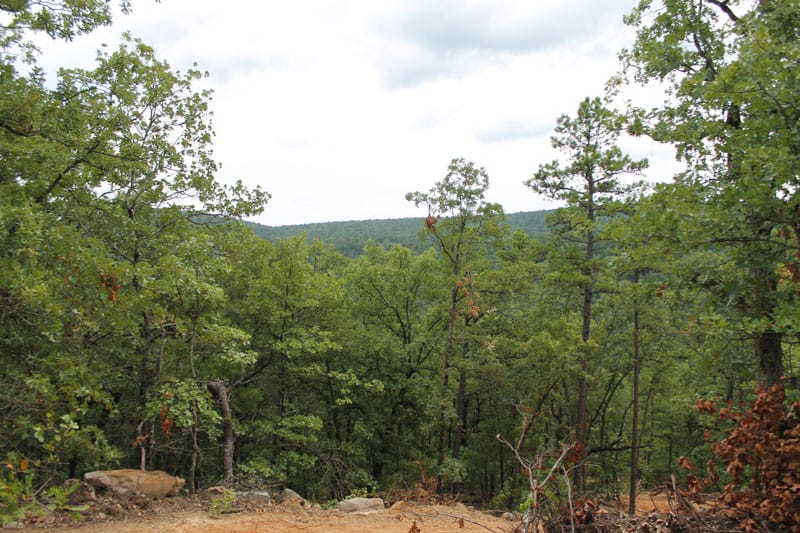 Trophy Ridge Phase III Tract 24 photo 3