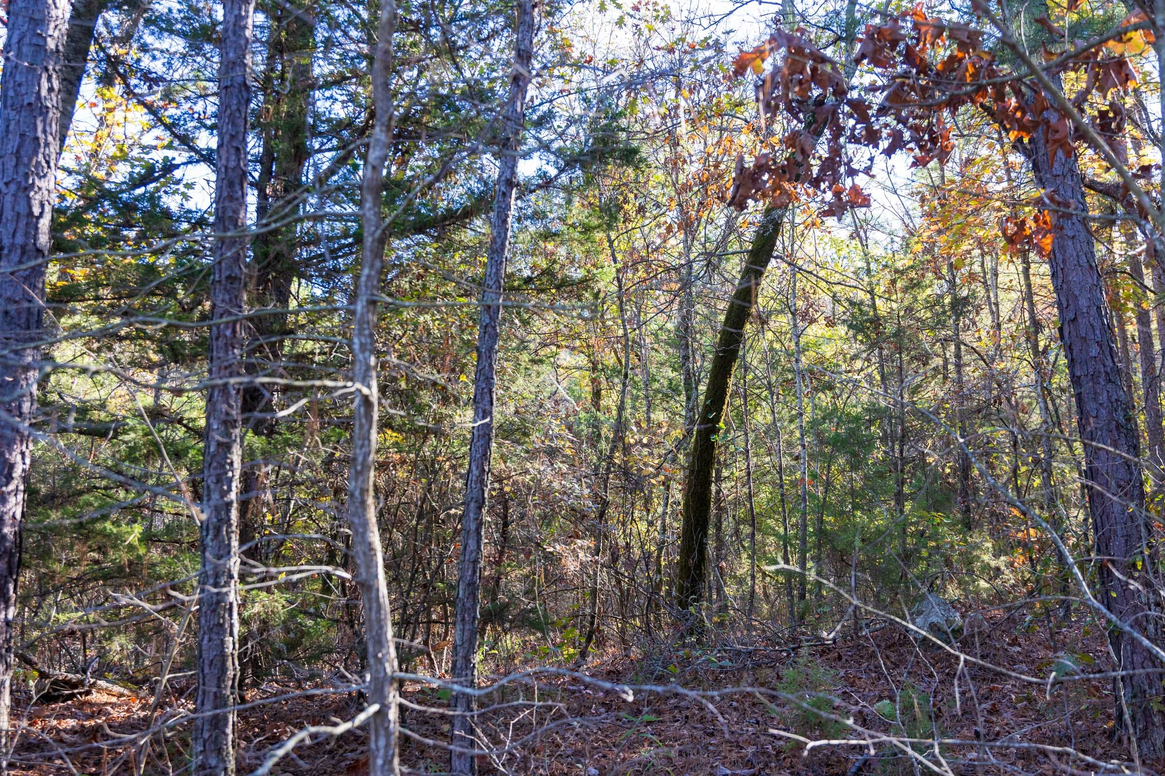 Stone Bridge Reserve Tract 29 photo 3