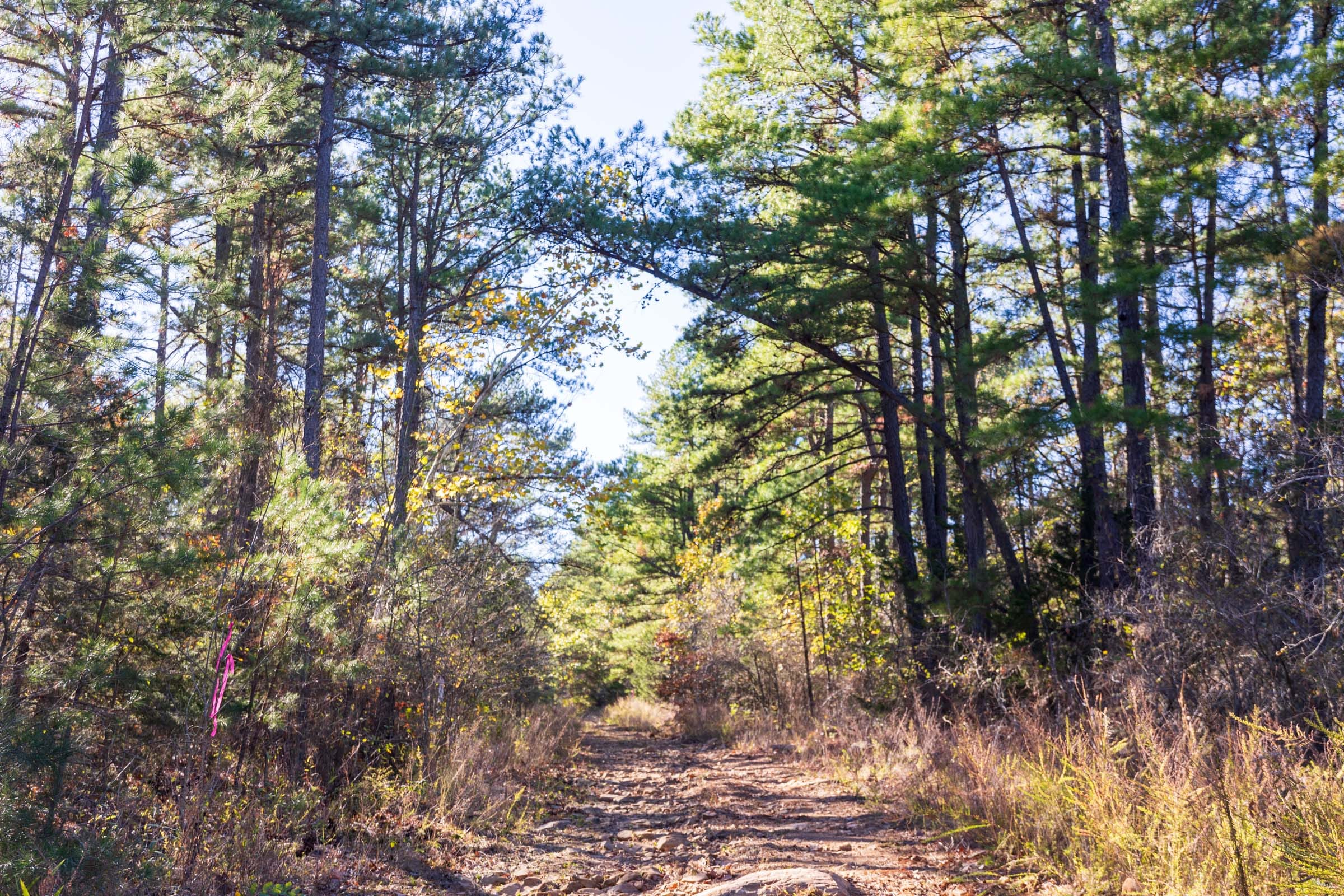 Stone Bridge Reserve Tract 29 photo 4