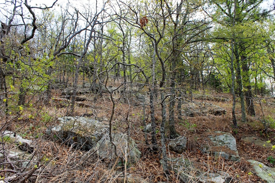 Trophy Ridge Phase III Tract 41 photo 11