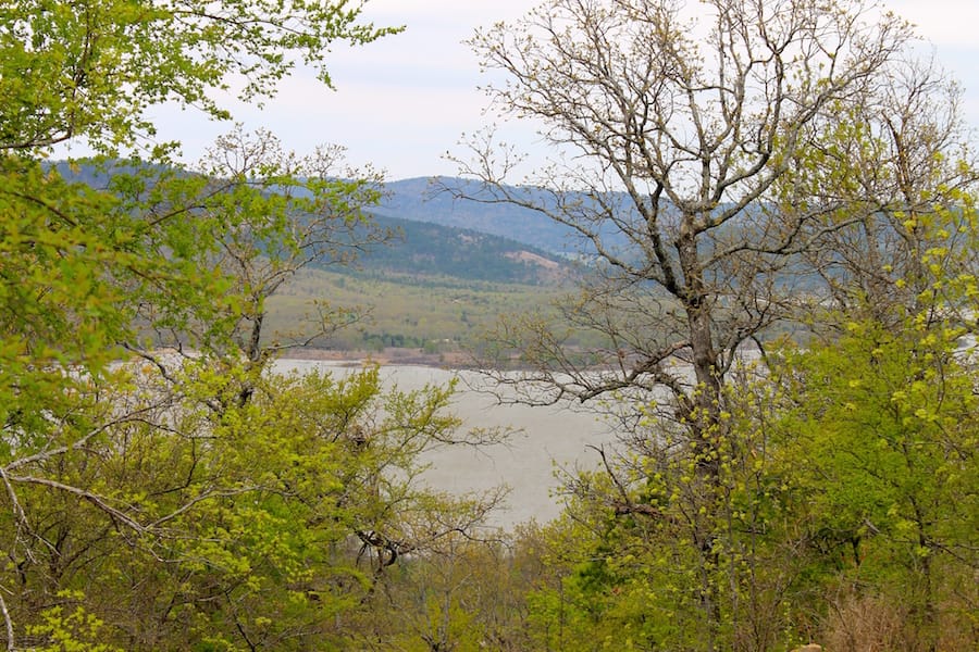 Trophy Ridge Phase III Tract 41 photo 17
