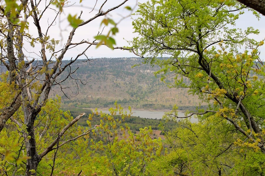 Trophy Ridge Phase III Tract 41 photo 21
