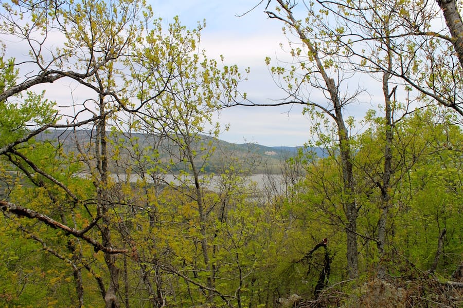 Trophy Ridge Phase III Tract 41 photo 23