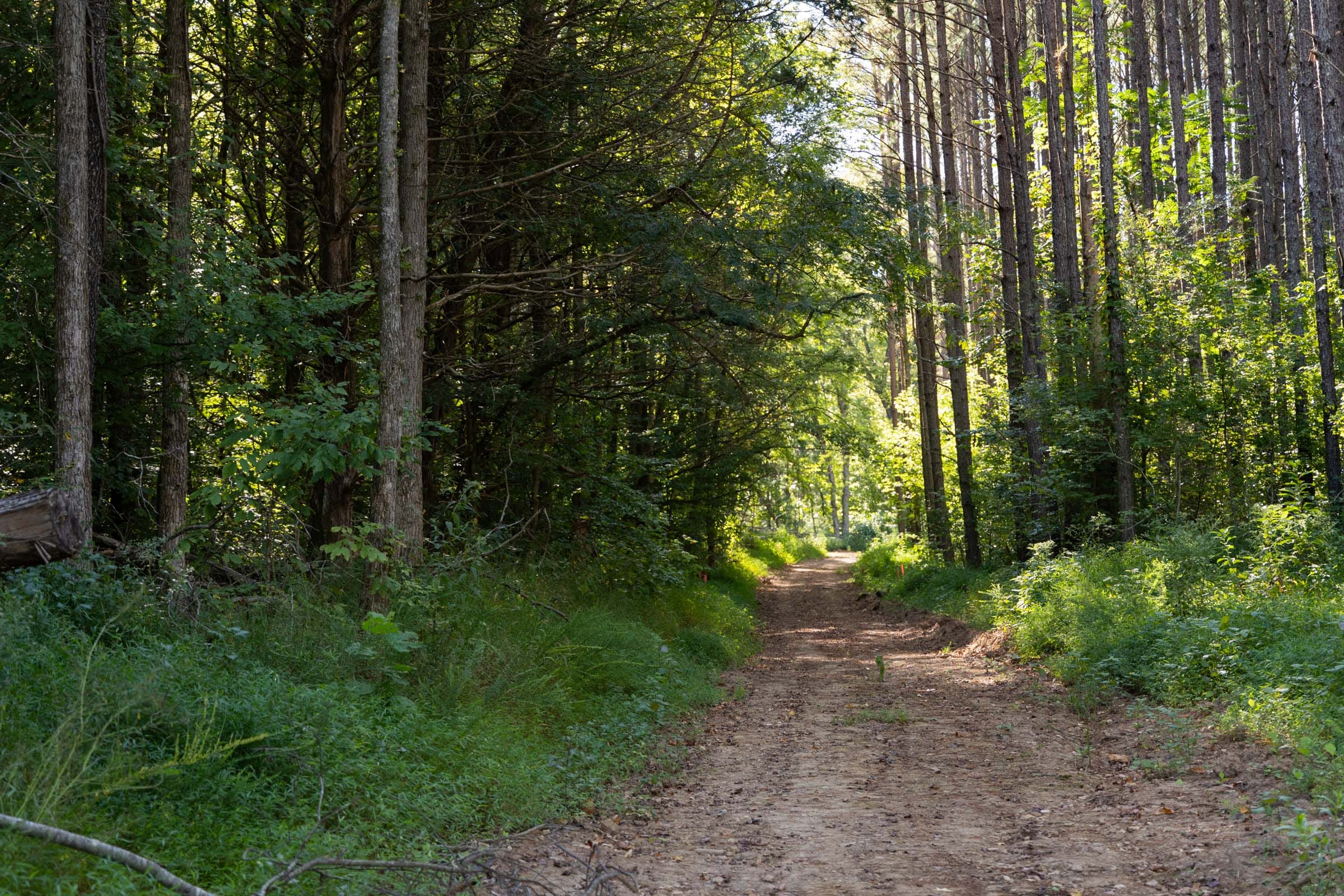 Big White Oak Tract 83 photo 1