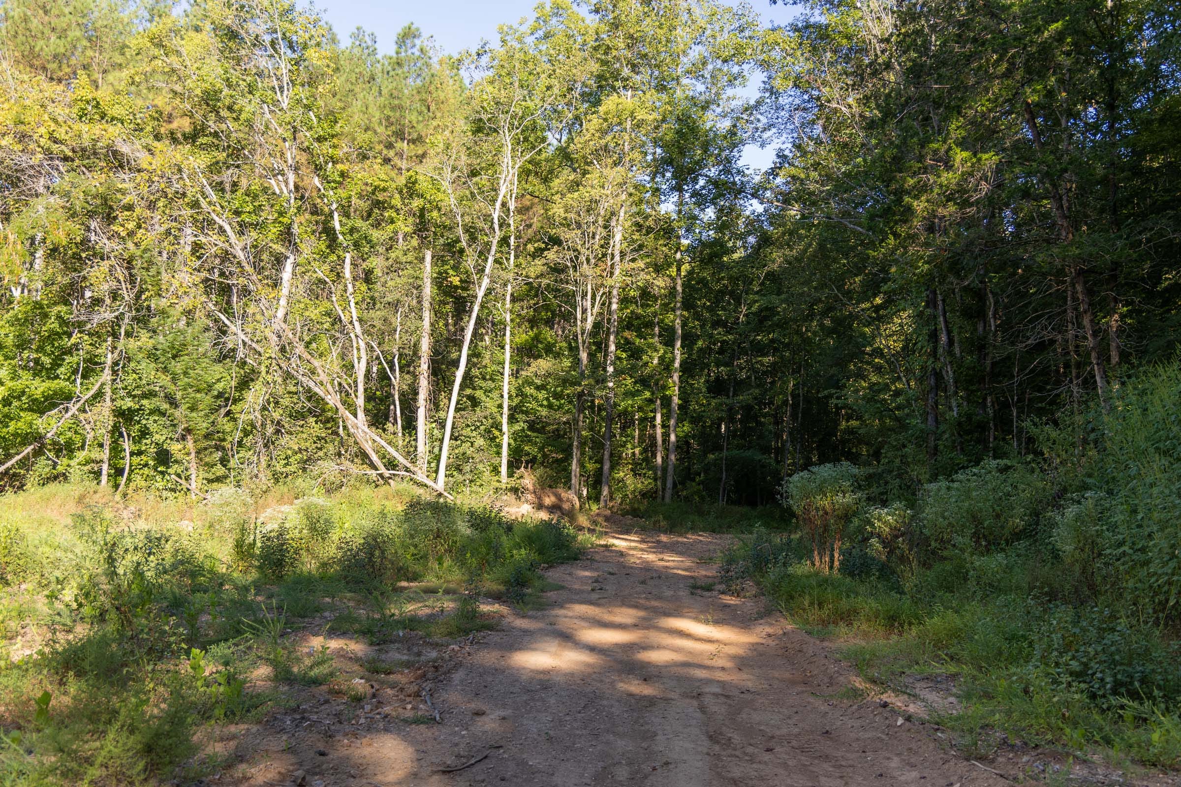Big White Oak Tract 83 photo 4