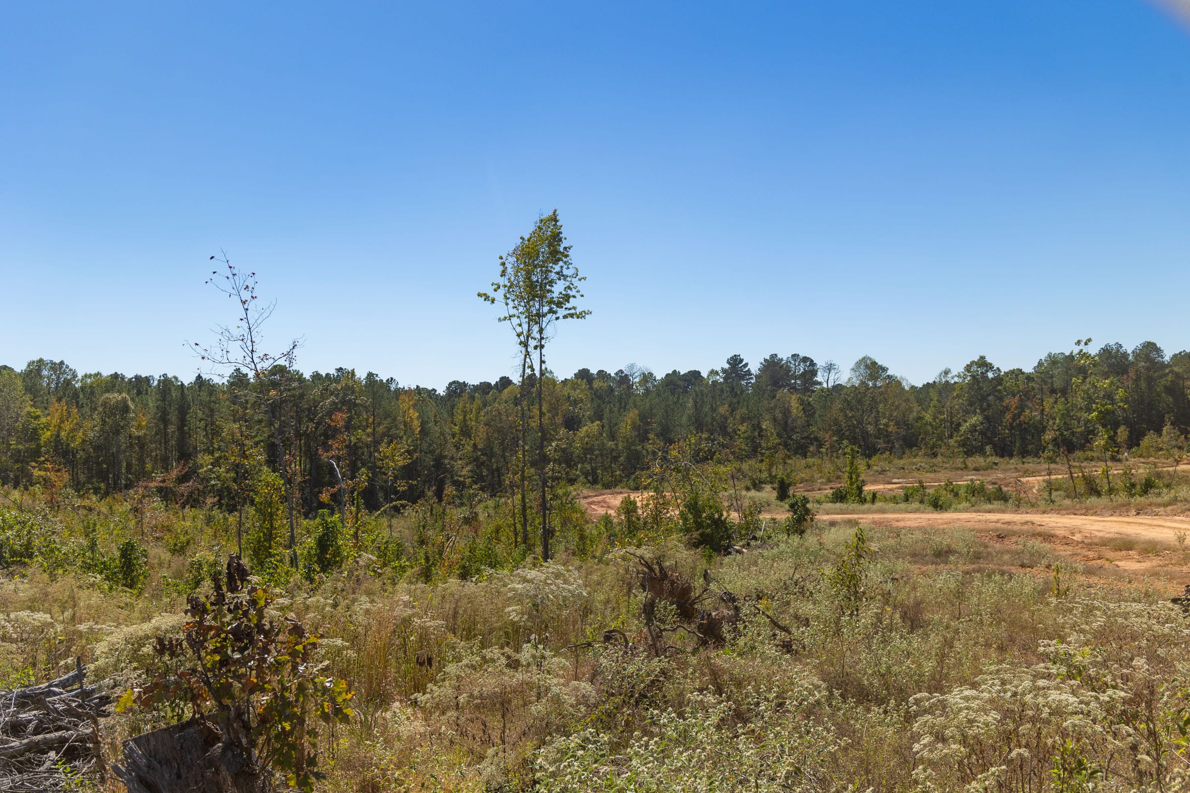 Meyer’s Ridge Tract 36 photo 13