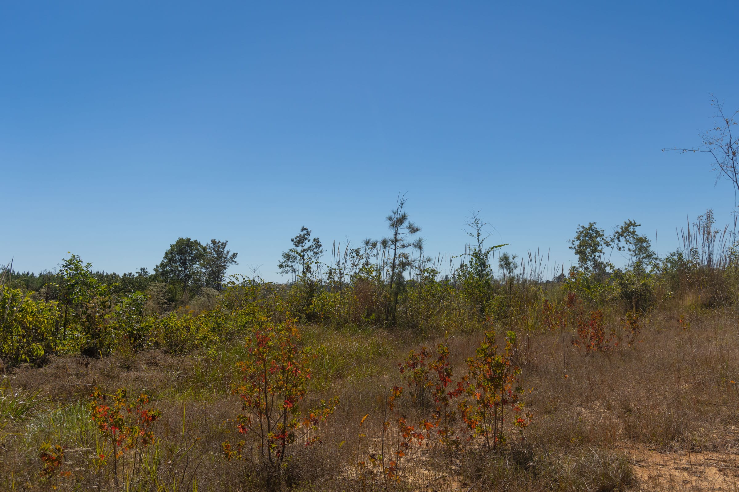 Meyer’s Ridge Tract 36 photo 12