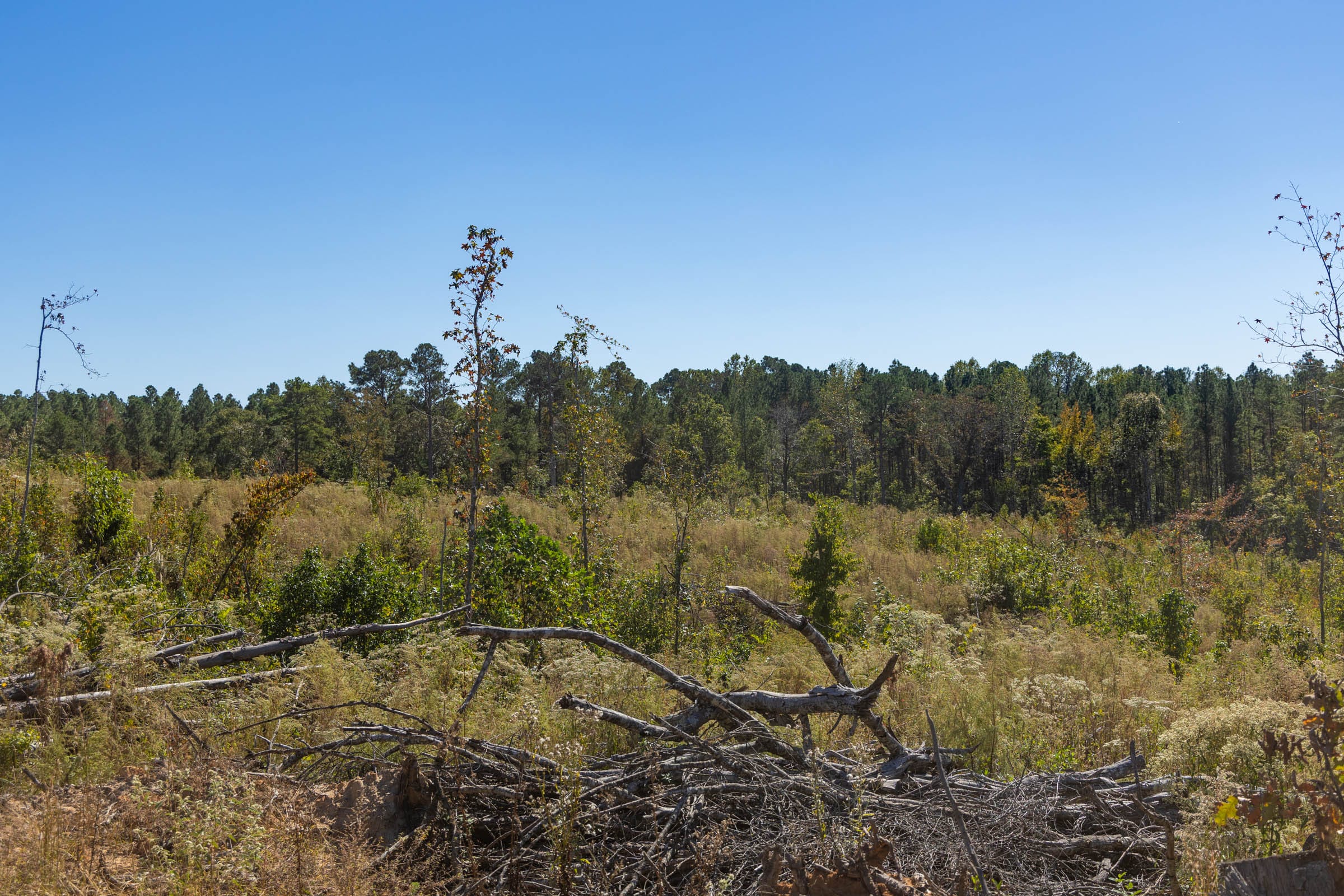 Meyer’s Ridge Tract 36 photo 11