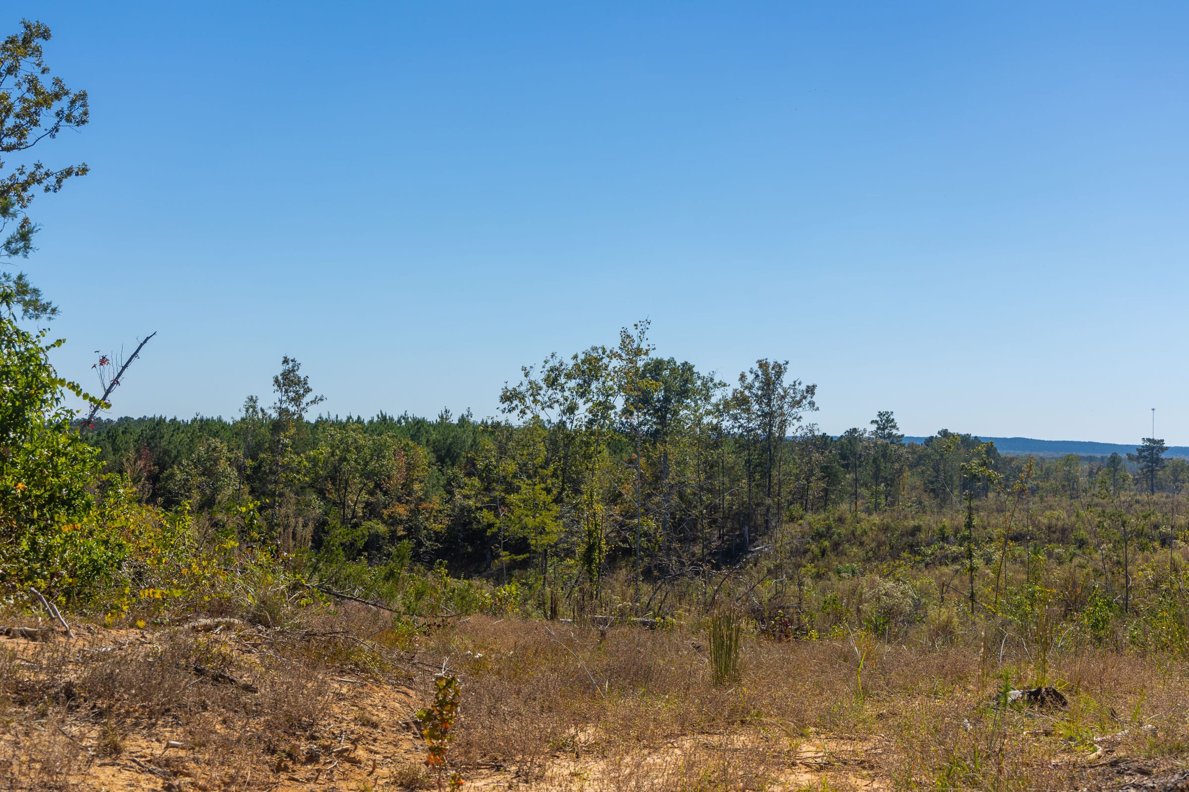 Meyer’s Ridge Tract 36 photo 9