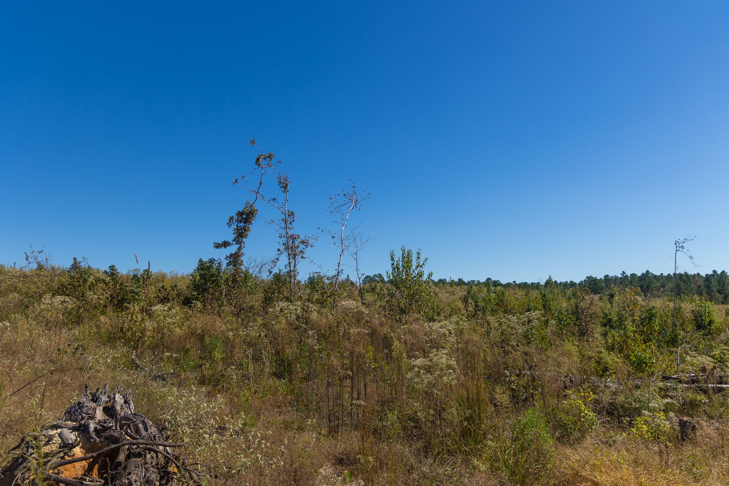 Meyer’s Ridge Tract 36 photo 6