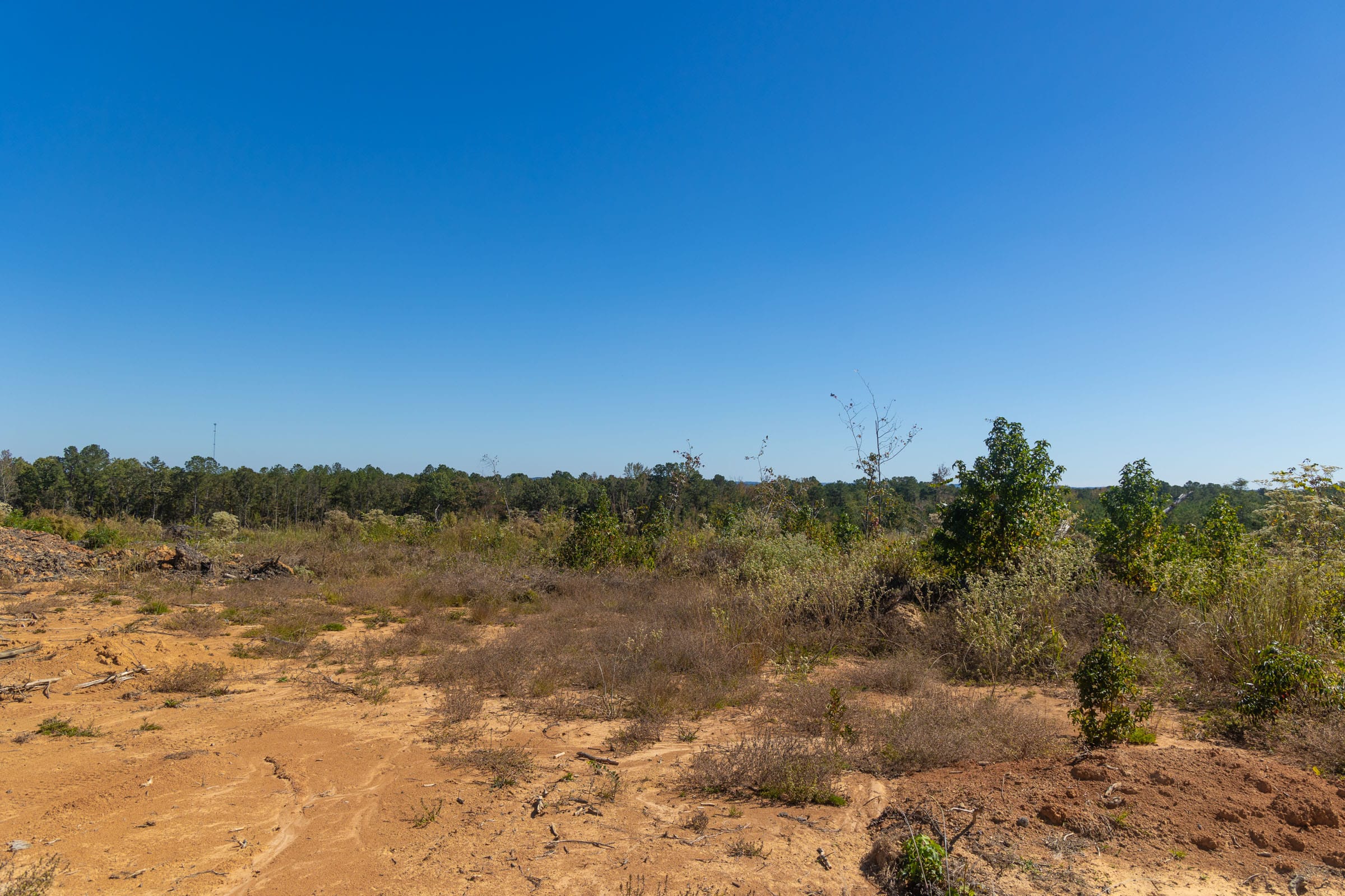 Meyer’s Ridge Tract 36 photo 14