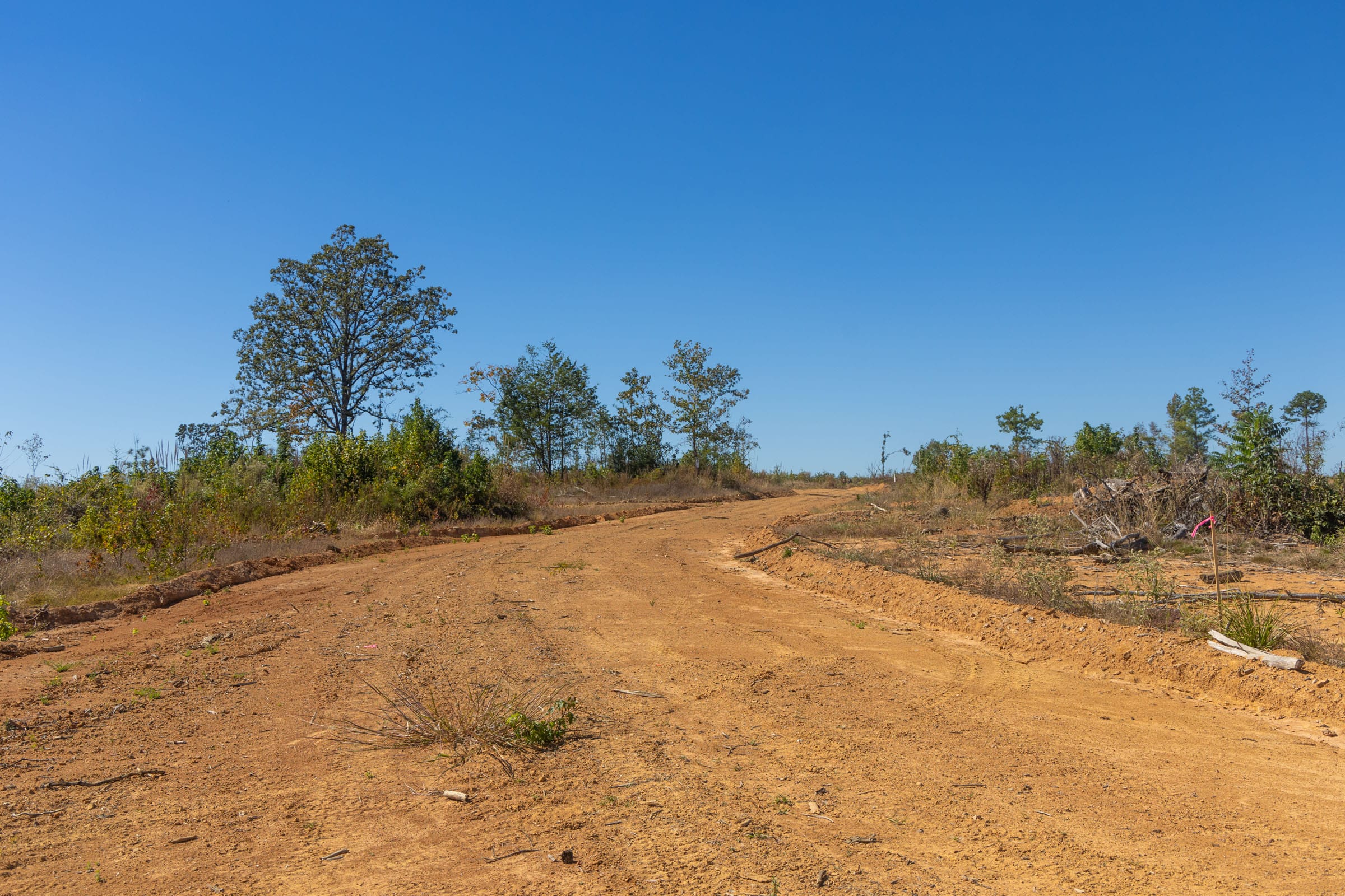 Meyer’s Ridge Tract 36 photo 7