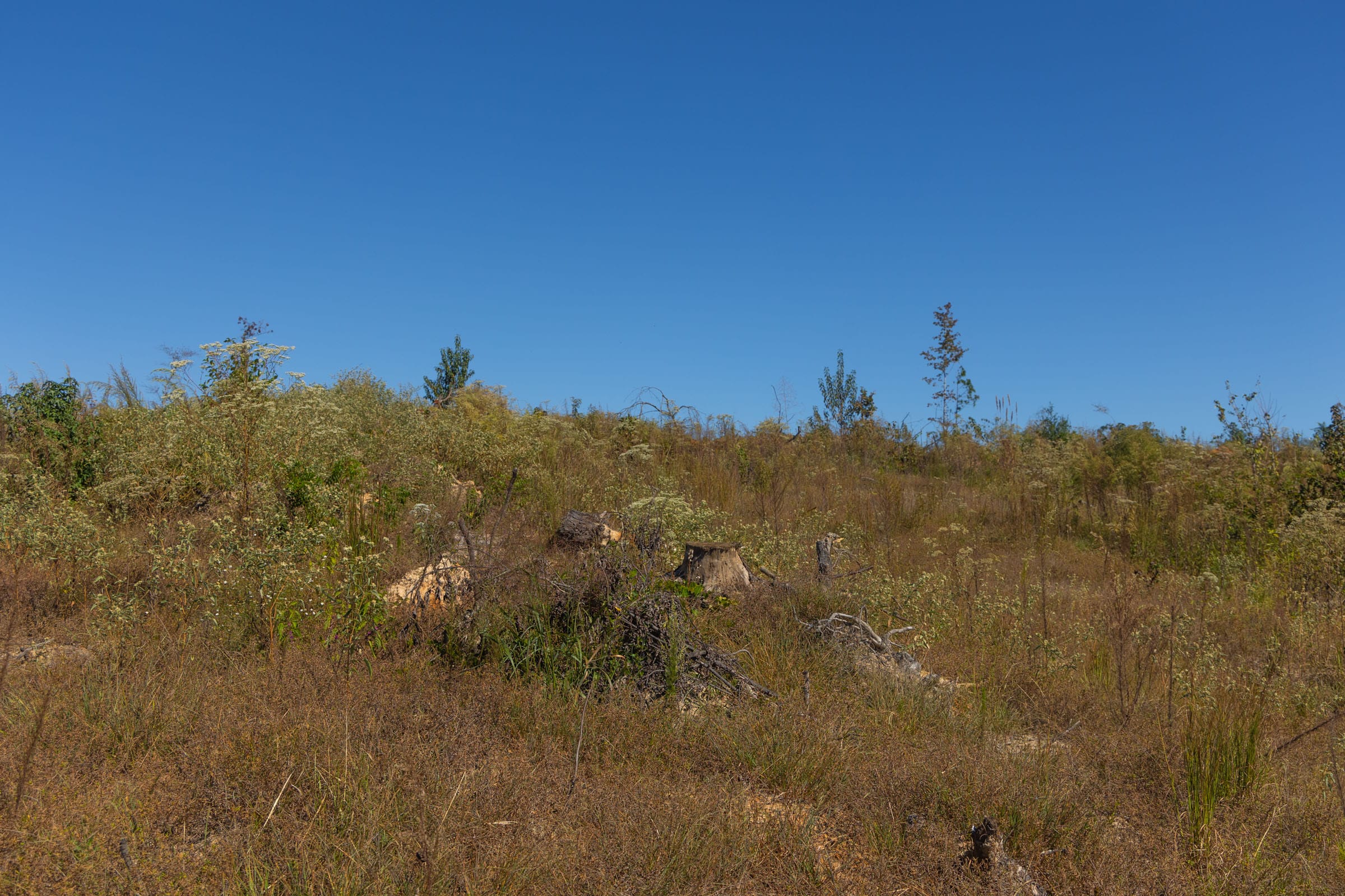Meyer’s Ridge Tract 36 photo 5