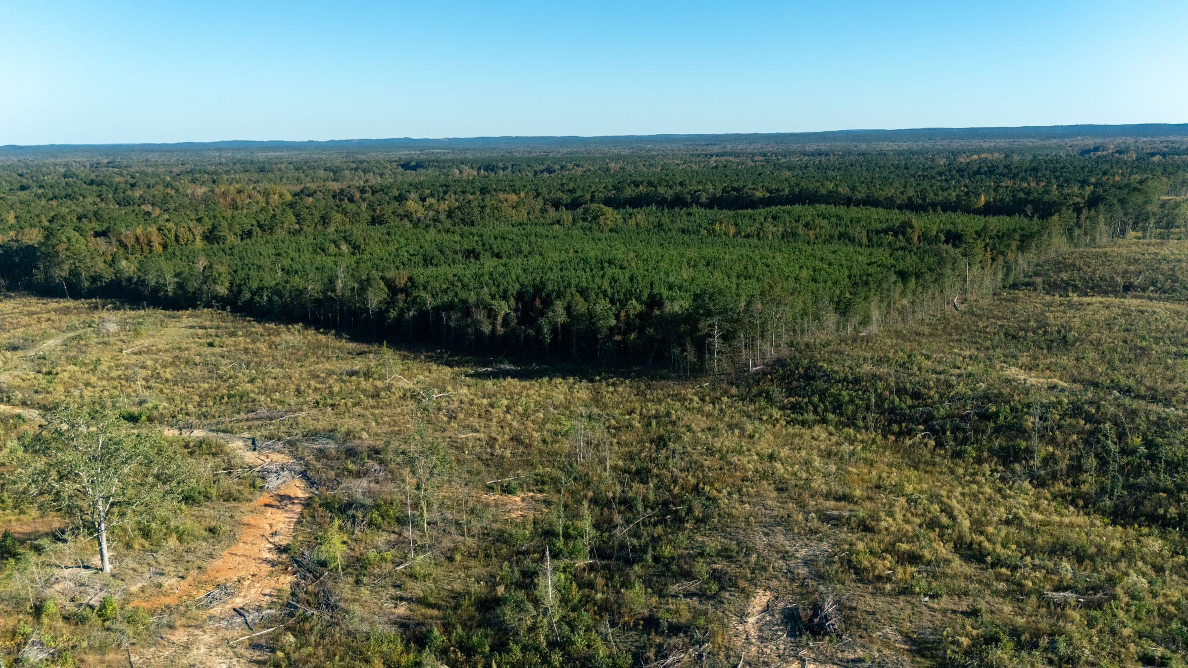 Meyer’s Ridge Tract 37 photo 5