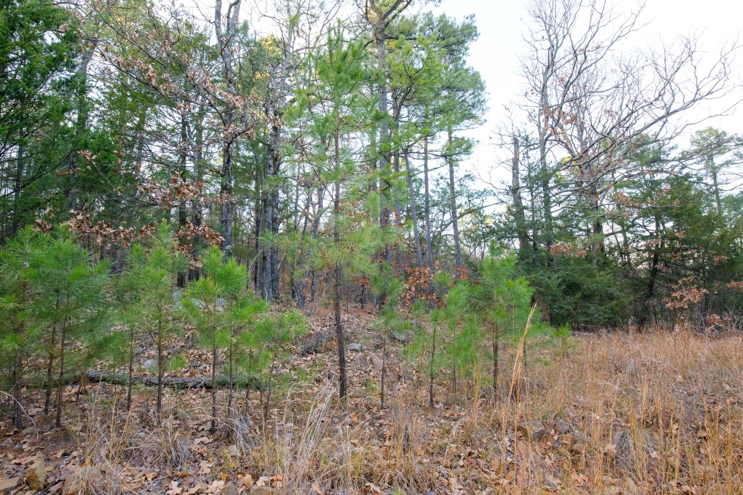 Stone Bridge Phase II Tract 112 photo 2