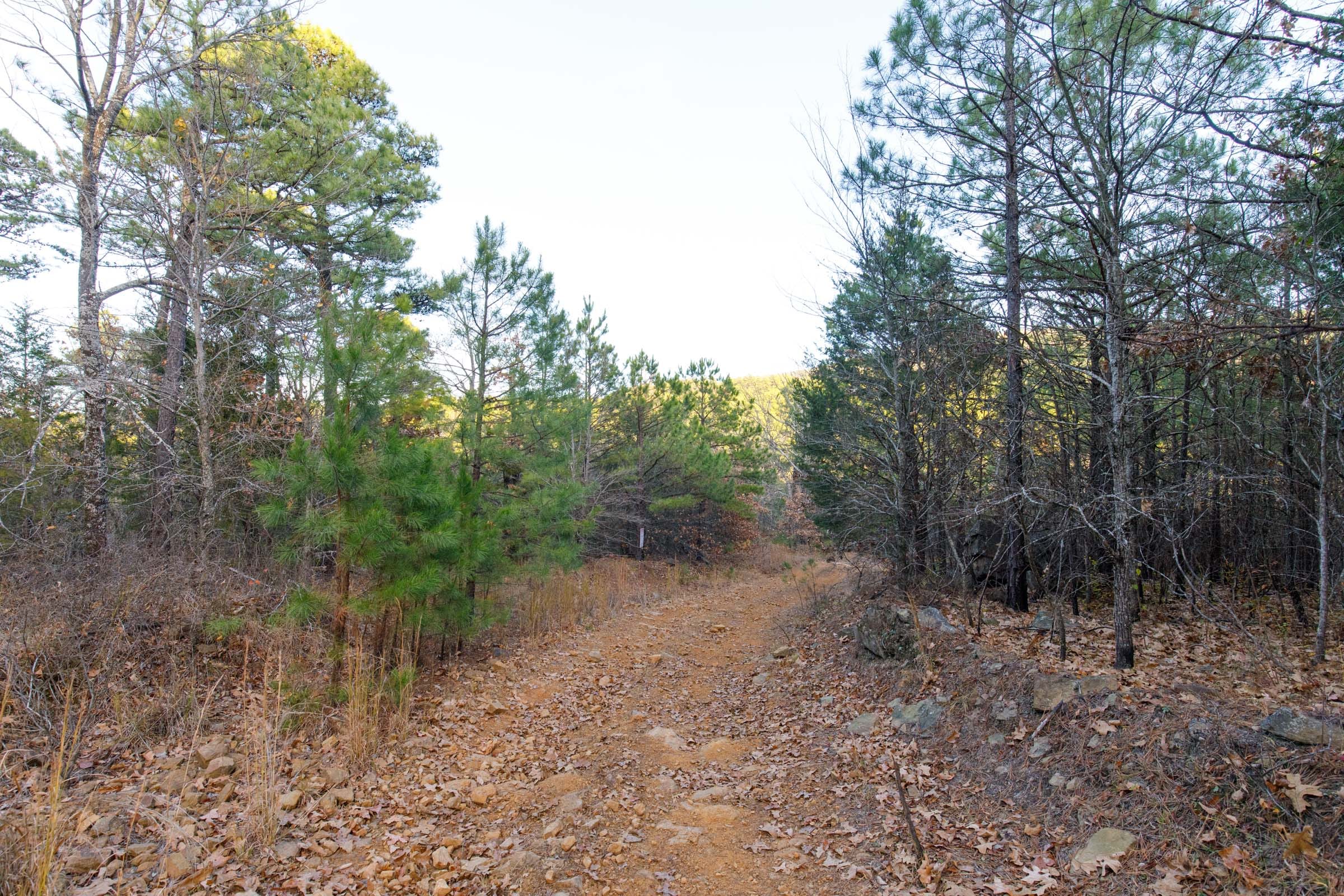 Stone Bridge Phase II Tract 112 photo 5