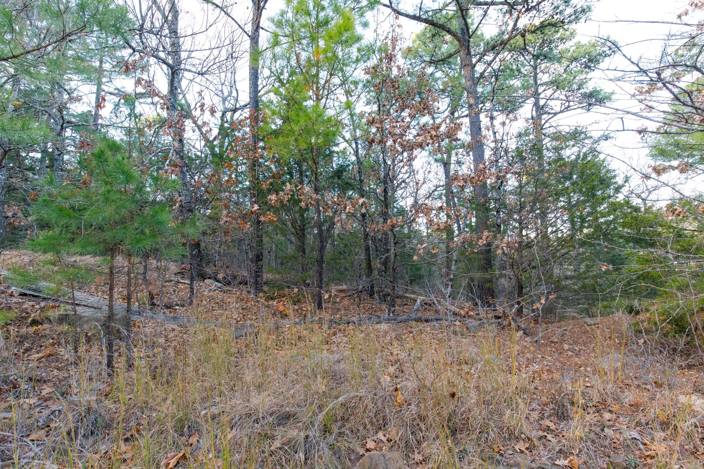 Stone Bridge Phase II Tract 112 photo 3