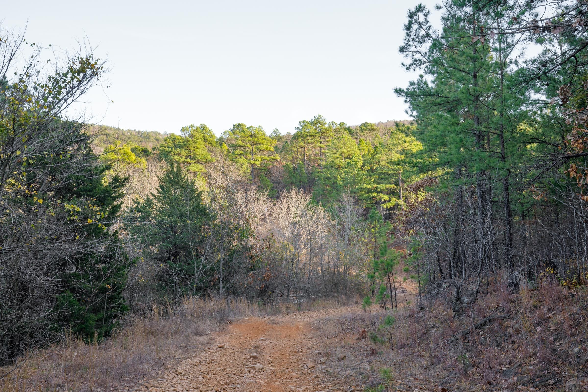 Stone Bridge Phase II Tract 112 photo 1