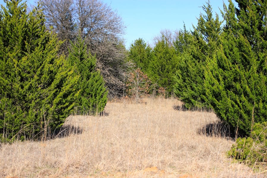 Montgomery Ranch Tract 15 photo 4